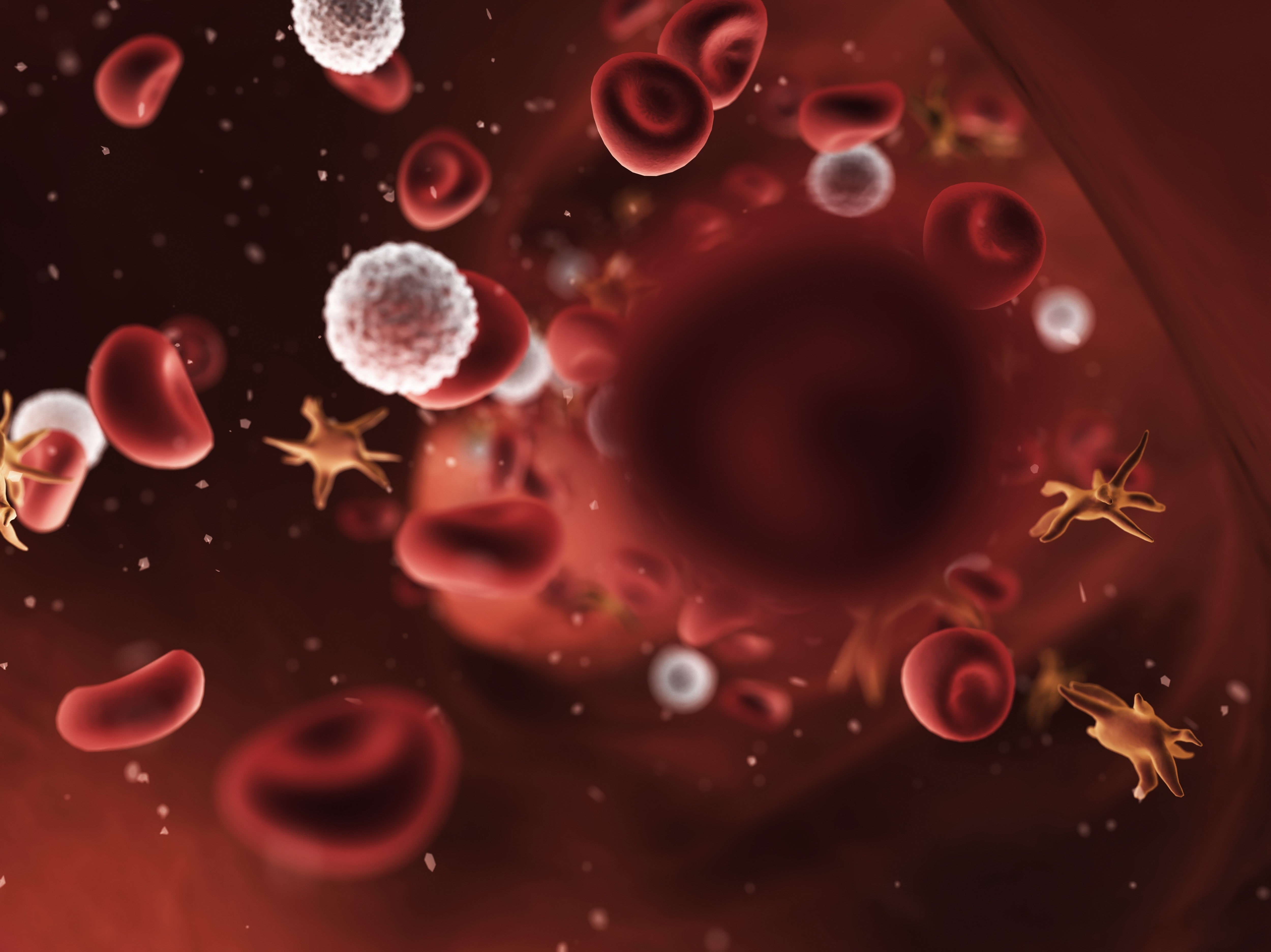 Vessel, space, abstract, biology, animal themes, Artery, geometric shape, 4K, Bacteria, water, shape, indoors, science, magnification, healthcare and medicine, HD Wallpaper