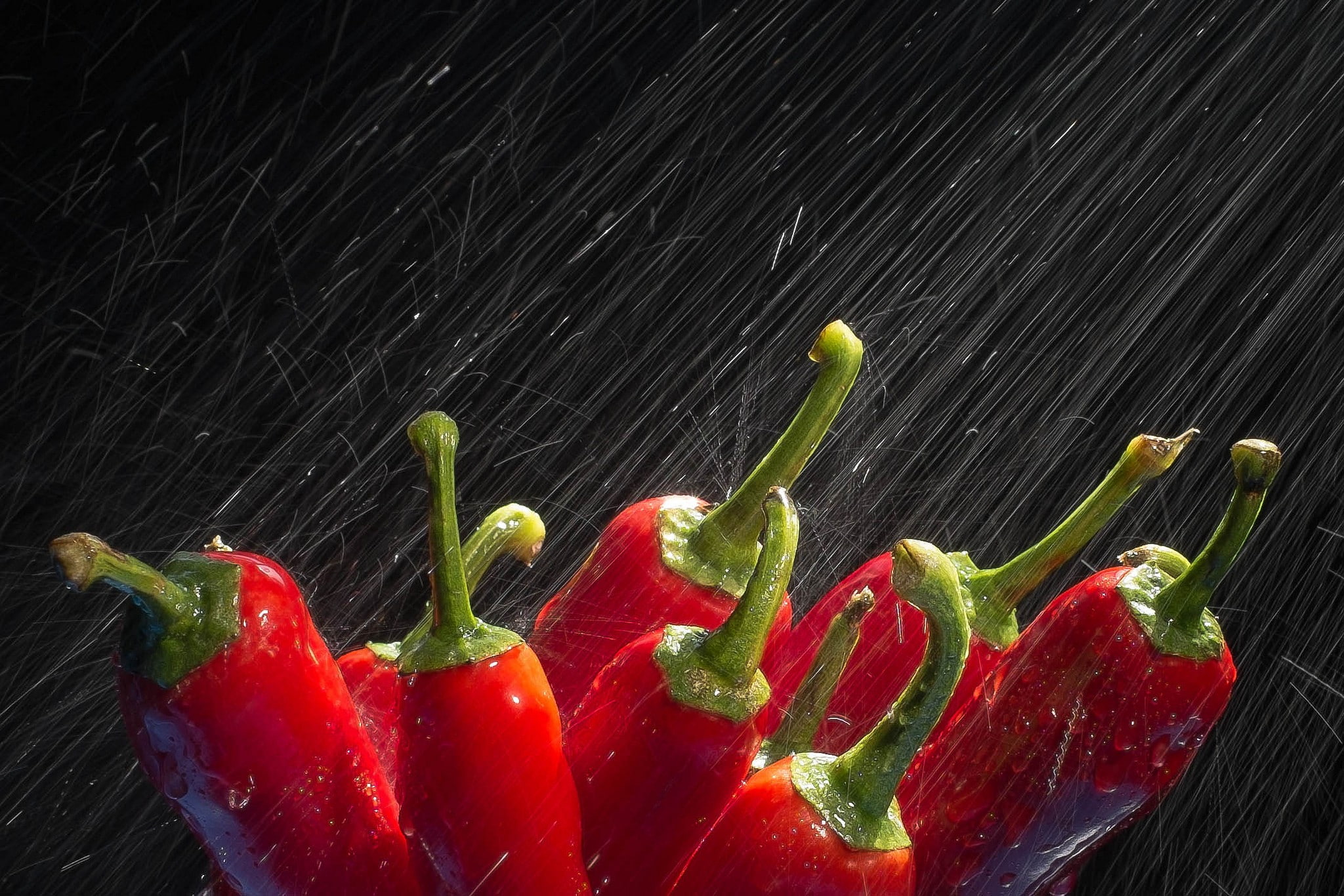 macro, water, studio shot, healthy eating, wellbeing, red, black background, close-up, vegetable, strawberry, multi colored, freshness, food and drink, HD Wallpaper