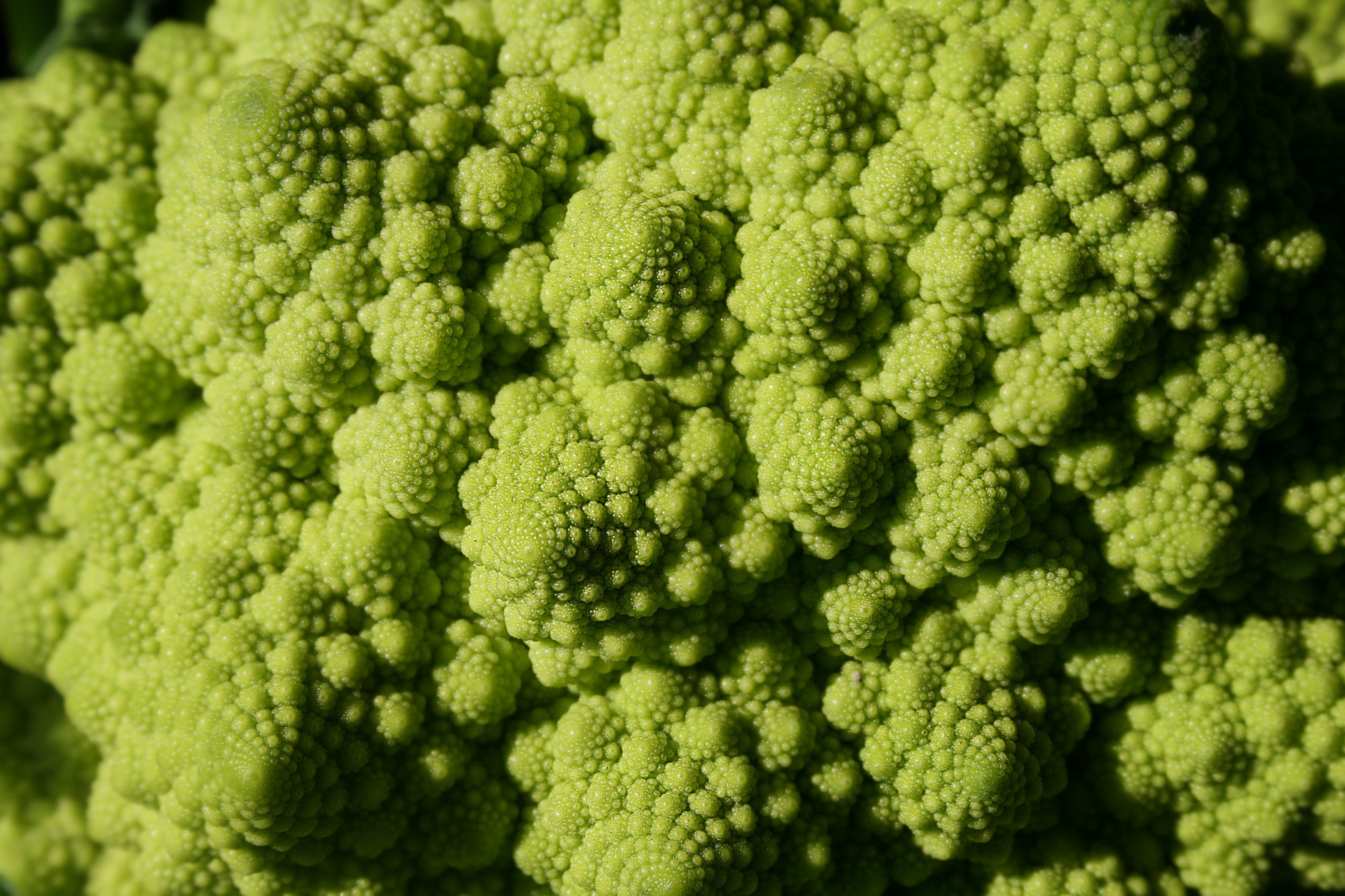 mandelbrot, no people, close-up, wellbeing, macro, raw food, vegetable, indoors, food, vegetables, broccoli, green vegetables, eat, healthy, nature, directly above, HD Wallpaper
