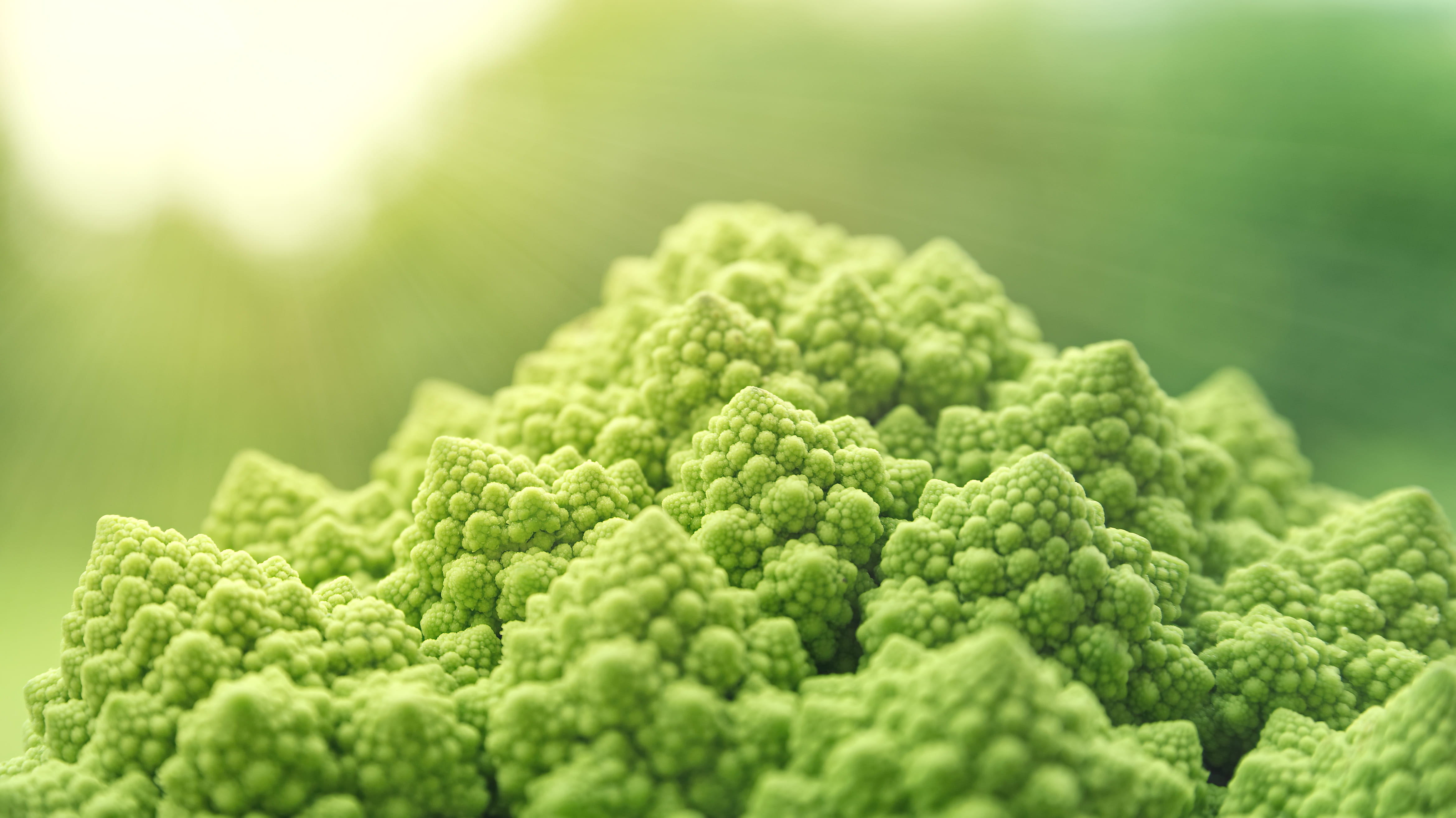 broccoli, growth, food, freshness, 4K, wellbeing, tilt, pattern, nature, day, plant, no people, lens, outdoors, healthy, green, vegetable, macro, cauliflower, HD Wallpaper