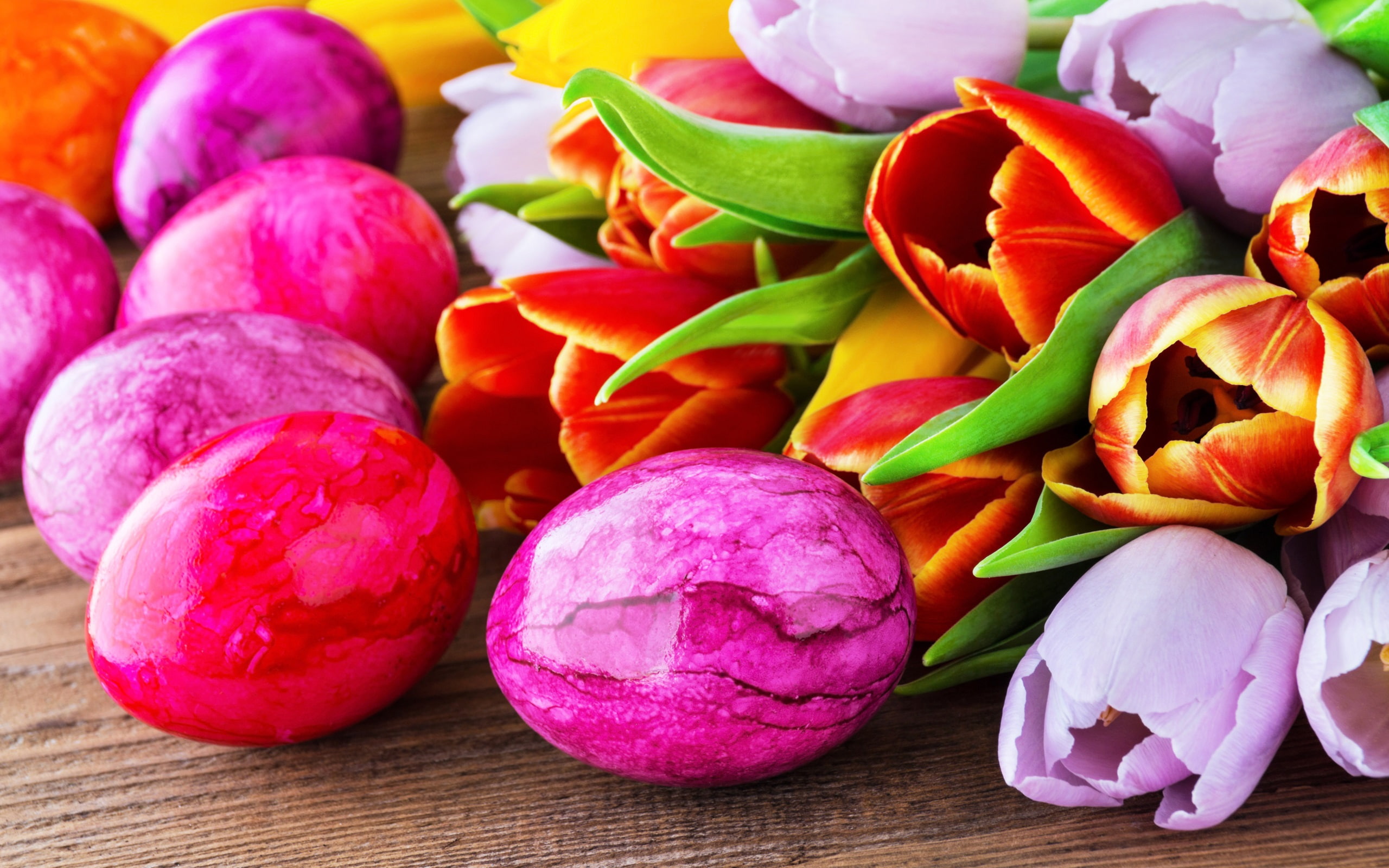 Happy, Eggs, Tulip, 2K, Easter, Flowers, HD Wallpaper