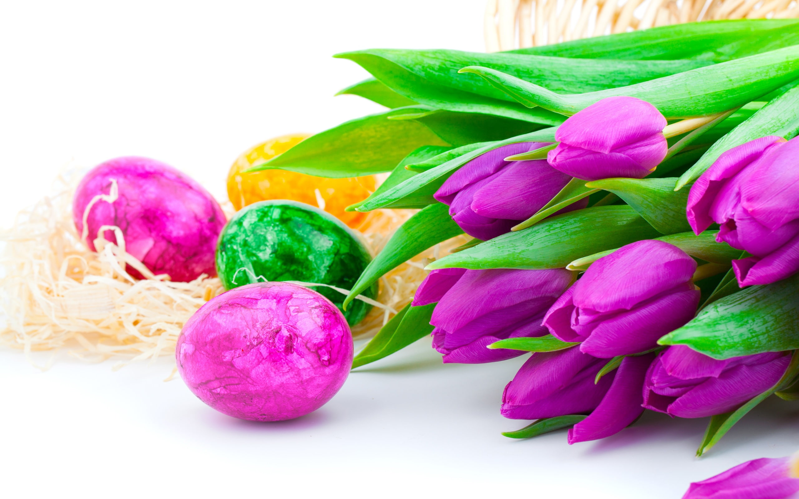 red, Purple, Tulip, petaled, Egg, Easter, green, 2K, Flowers, eggs, flower, HD Wallpaper