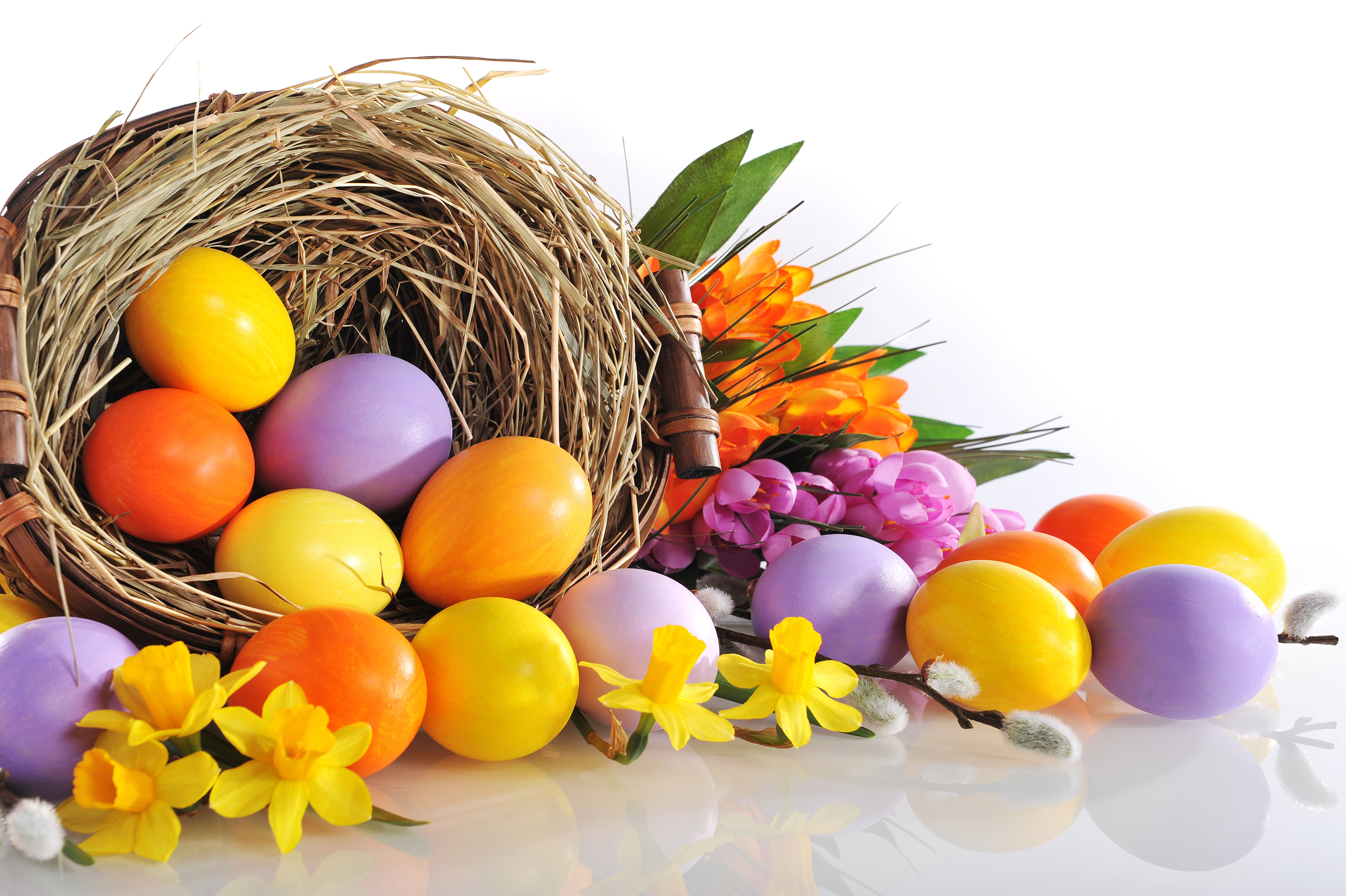 indoors, assorted, Easter, multi colored, celebration, food, flower, color, decoration, decor, 5K, food and drink, holiday, white background, flowers, HD Wallpaper