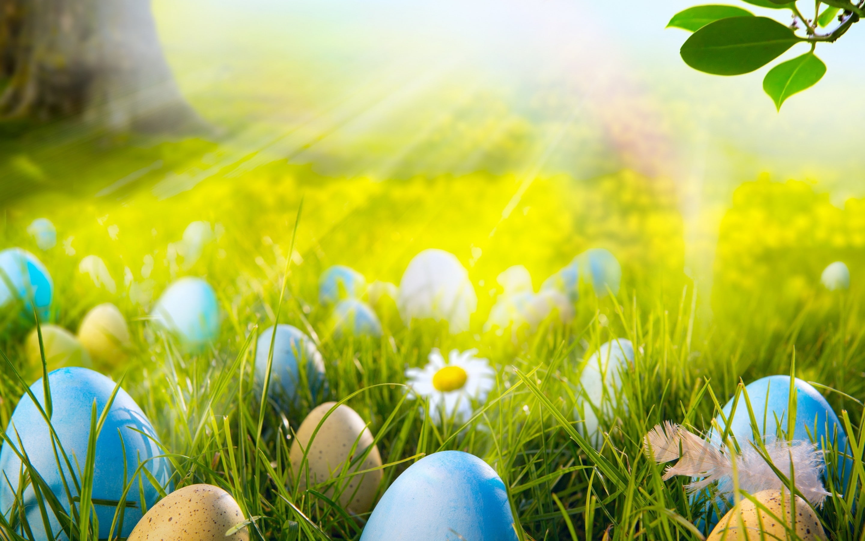 2K, field, easter, landscape, easter 2014, 2014 easter eggs, eggs, easter eggs, HD Wallpaper