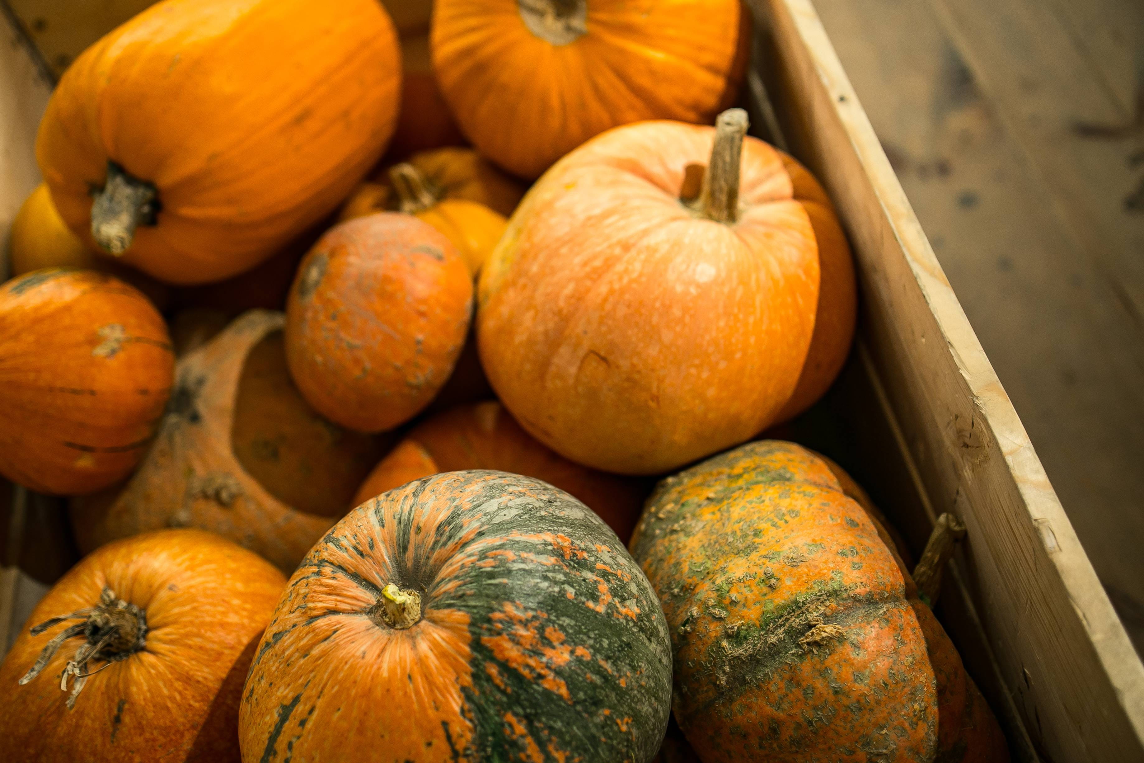 pumpkin, outdoors, orange, farm, no people, wood - material, Close-ups, thanksgiving, fruit, celebration, nature, season, wooden, healthy eating, large group of objects, HD Wallpaper