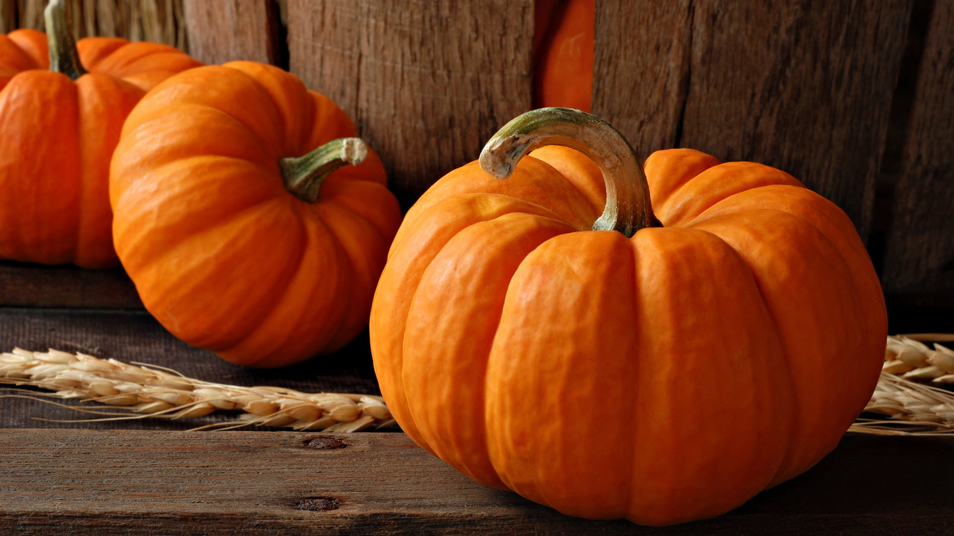 wellbeing, raw food, season, stem, thanksgiving, autumn, fall, orange color, gourd, halloween, celebration, october, fruit, ripe, food, orange, decoration, HD Wallpaper