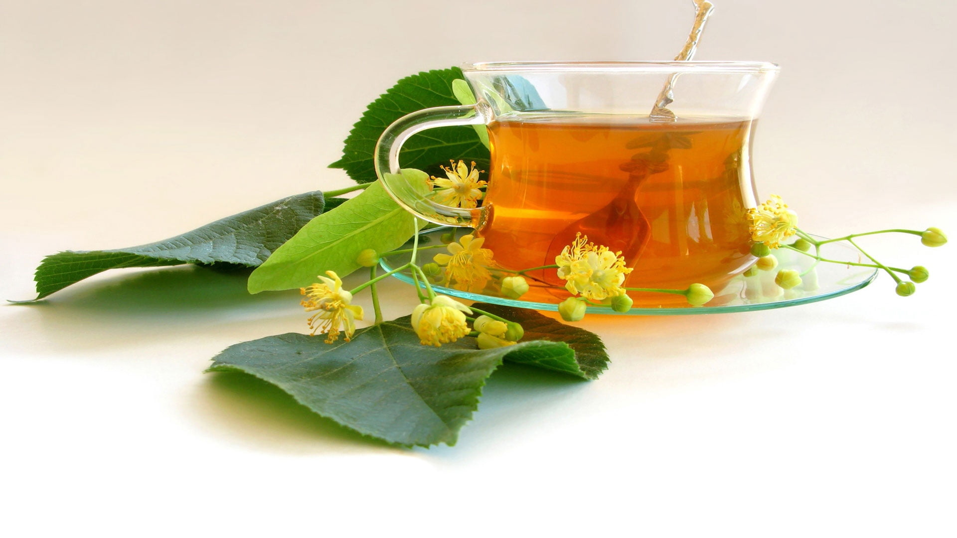 freshness, close-up, herbal Medicine, lime Tree, plant, summer, wellbeing, fruit, mint Leaf - Culinary, herb, flower, flowers, hot drink, food and drink, HD Wallpaper