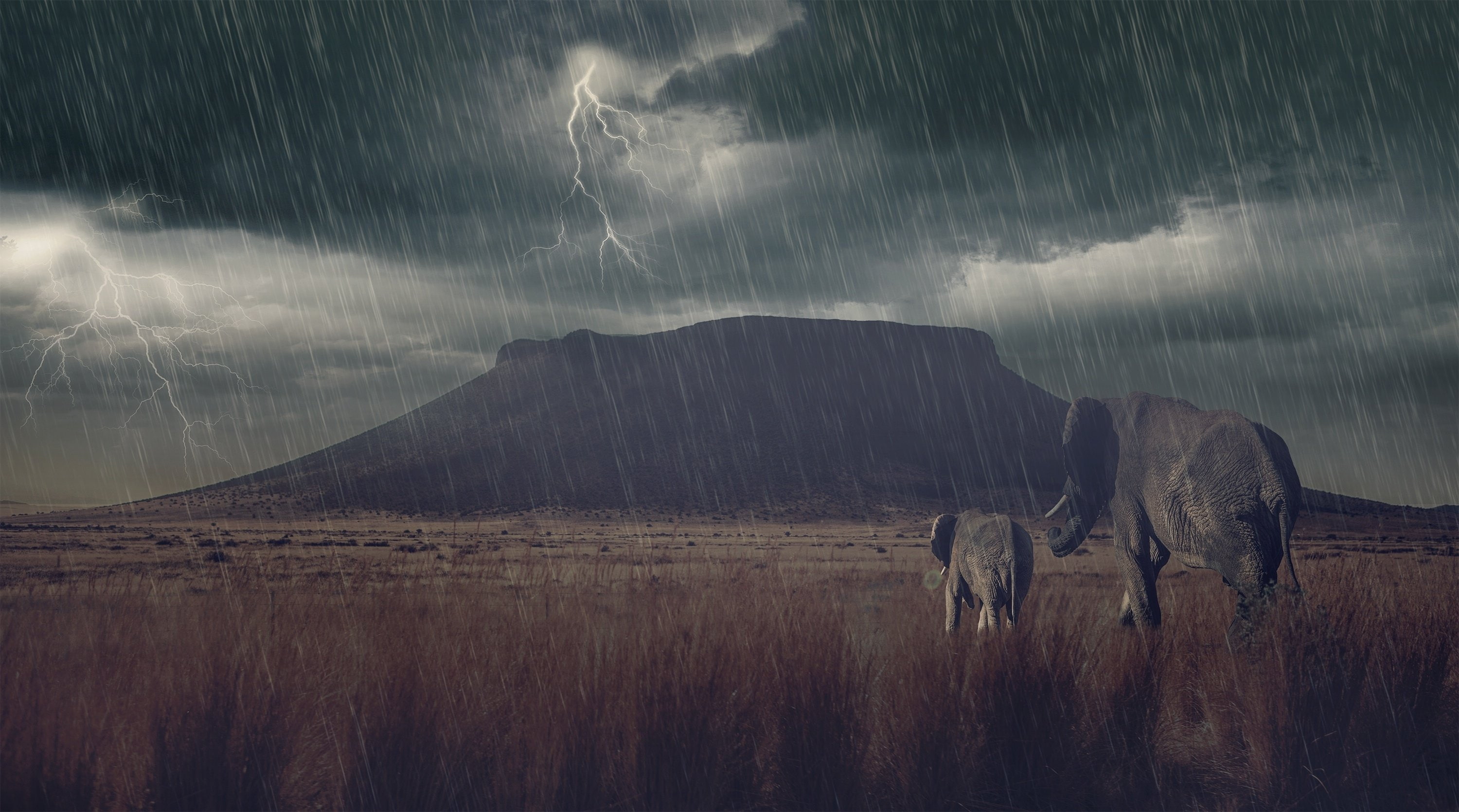 mountain, art, artwork, elephant, savannah, rain, 2K, calf, lightning, elephants, thunder, photoshop, storm, baby, HD Wallpaper