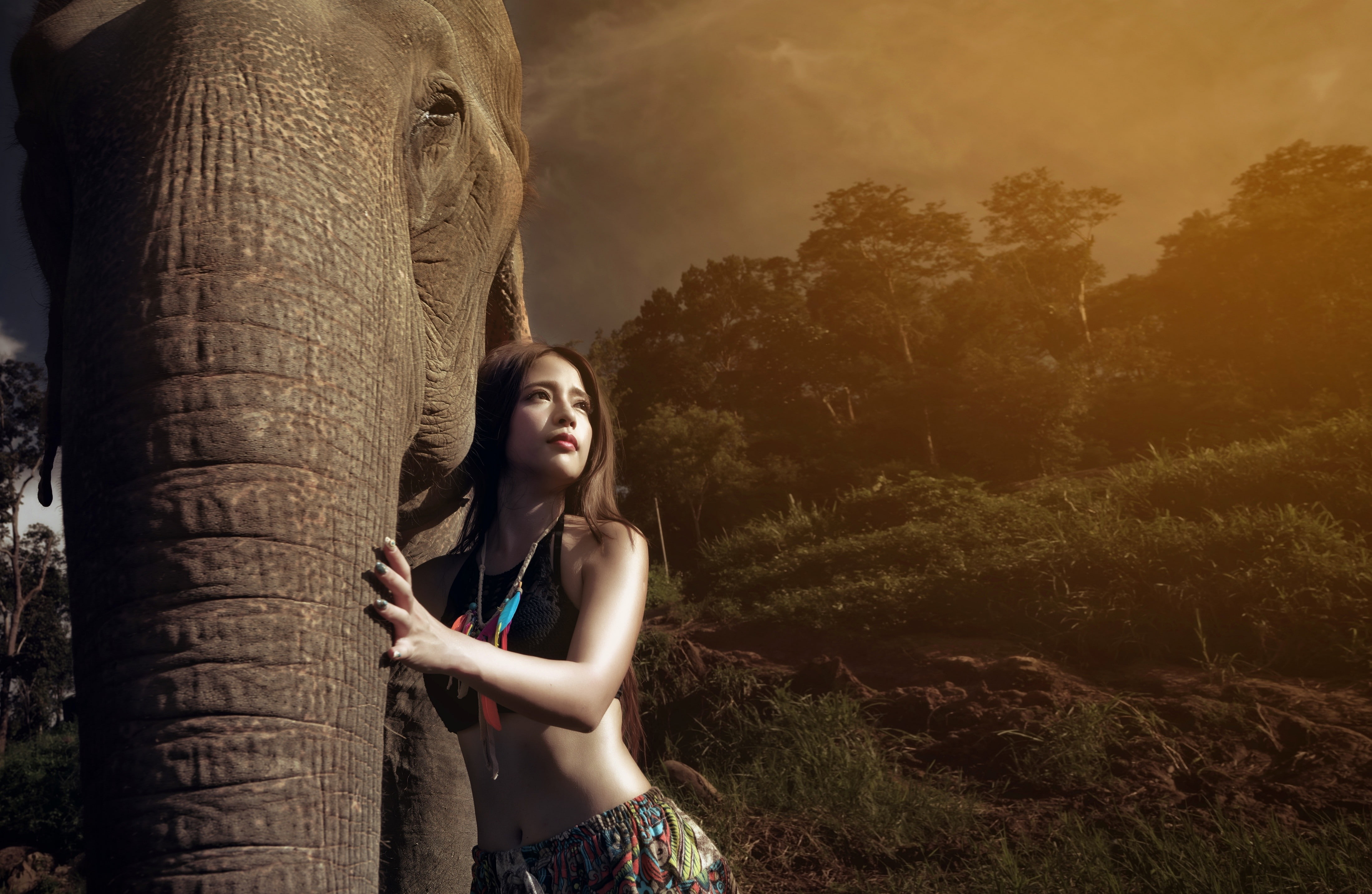 animals, Asian, 4K, elephant, women, HD Wallpaper