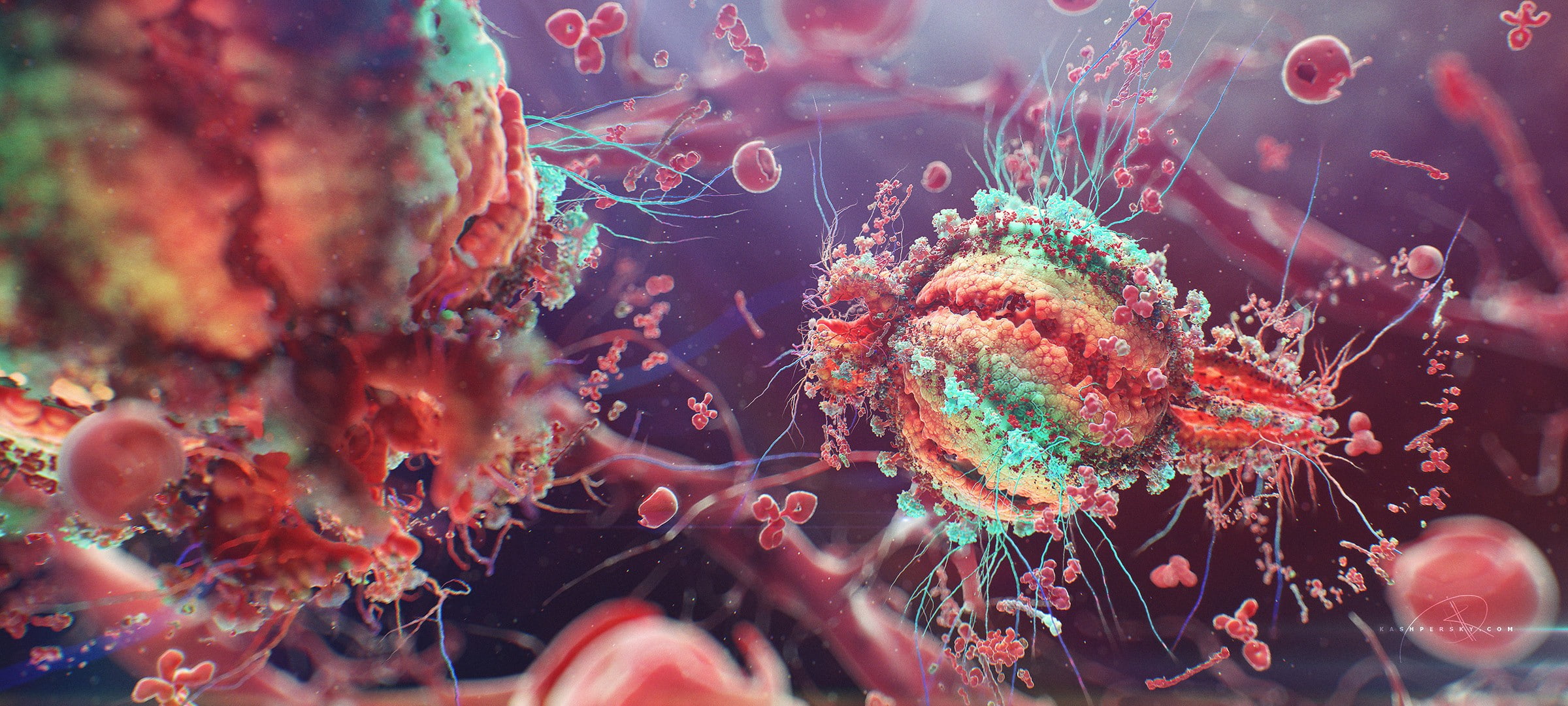 sea life, swimming, sea, marine, animal, underwater, coral, no people, outdoors, animal themes, invertebrate, animals in captivity, undersea, digital art colorful macro hiv cells disease, HD Wallpaper