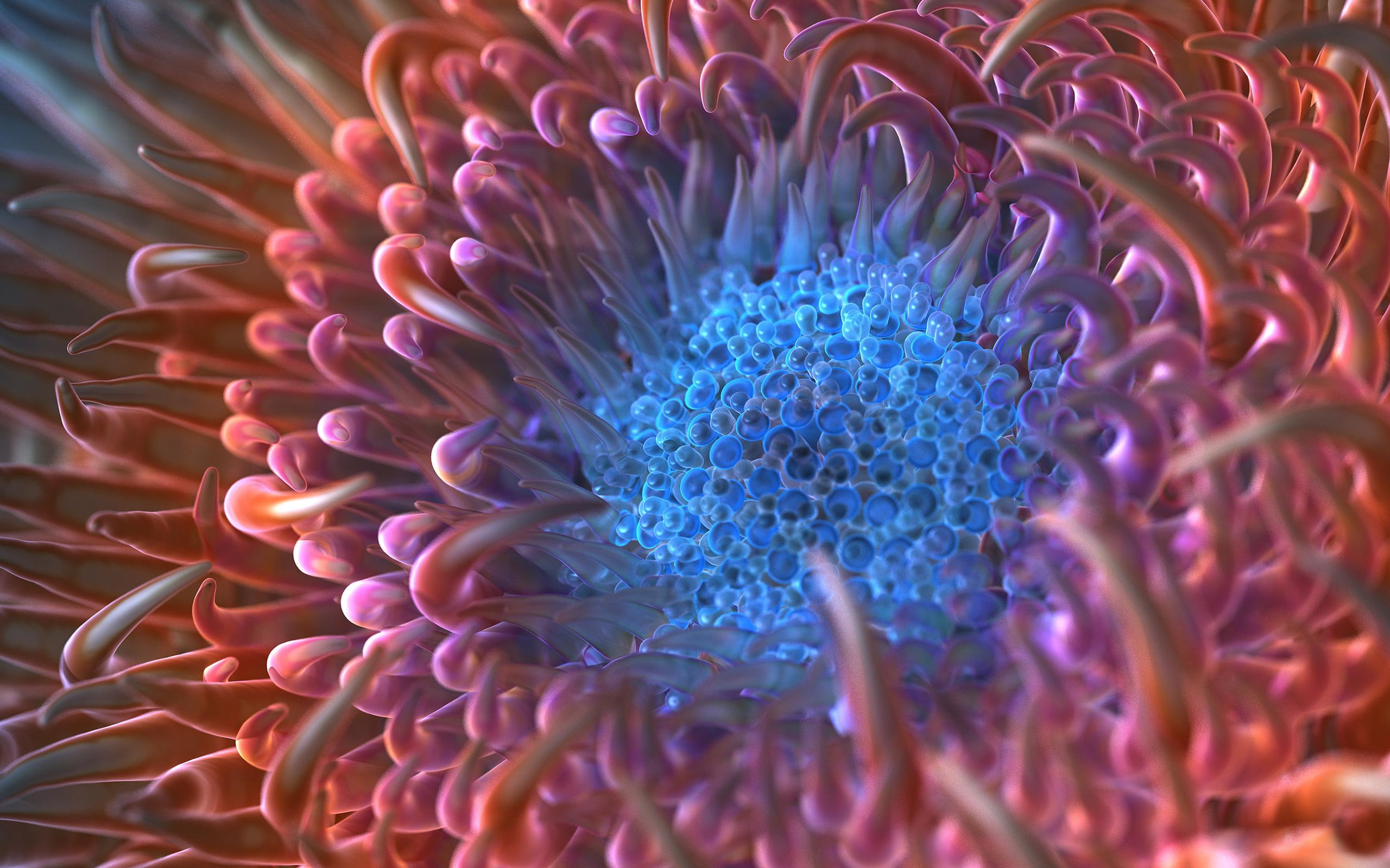 anemone, flower, digital, organisms, micro, 2K, HD Wallpaper