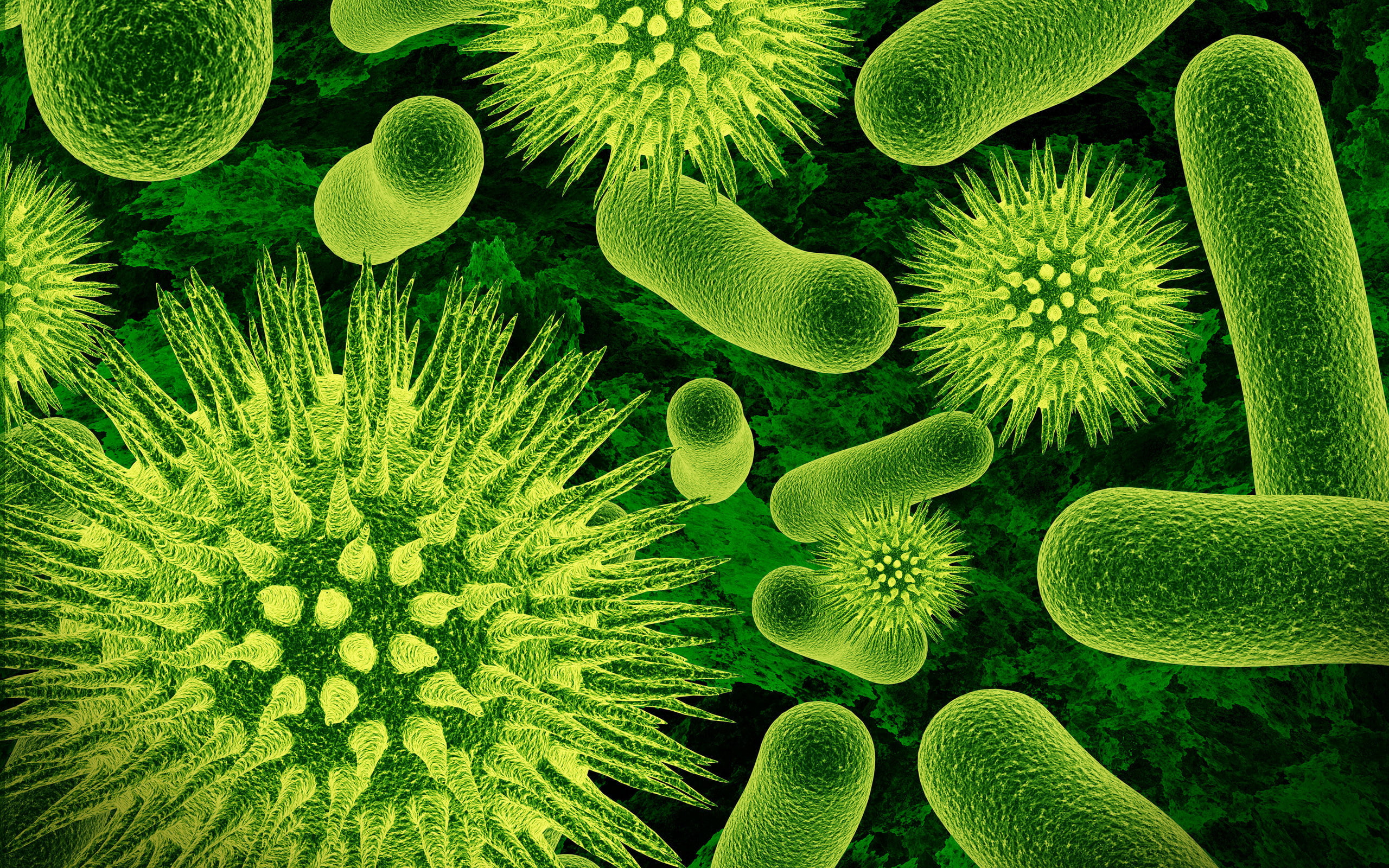 abstract, organism, micro, green, hd, 2K, HD Wallpaper