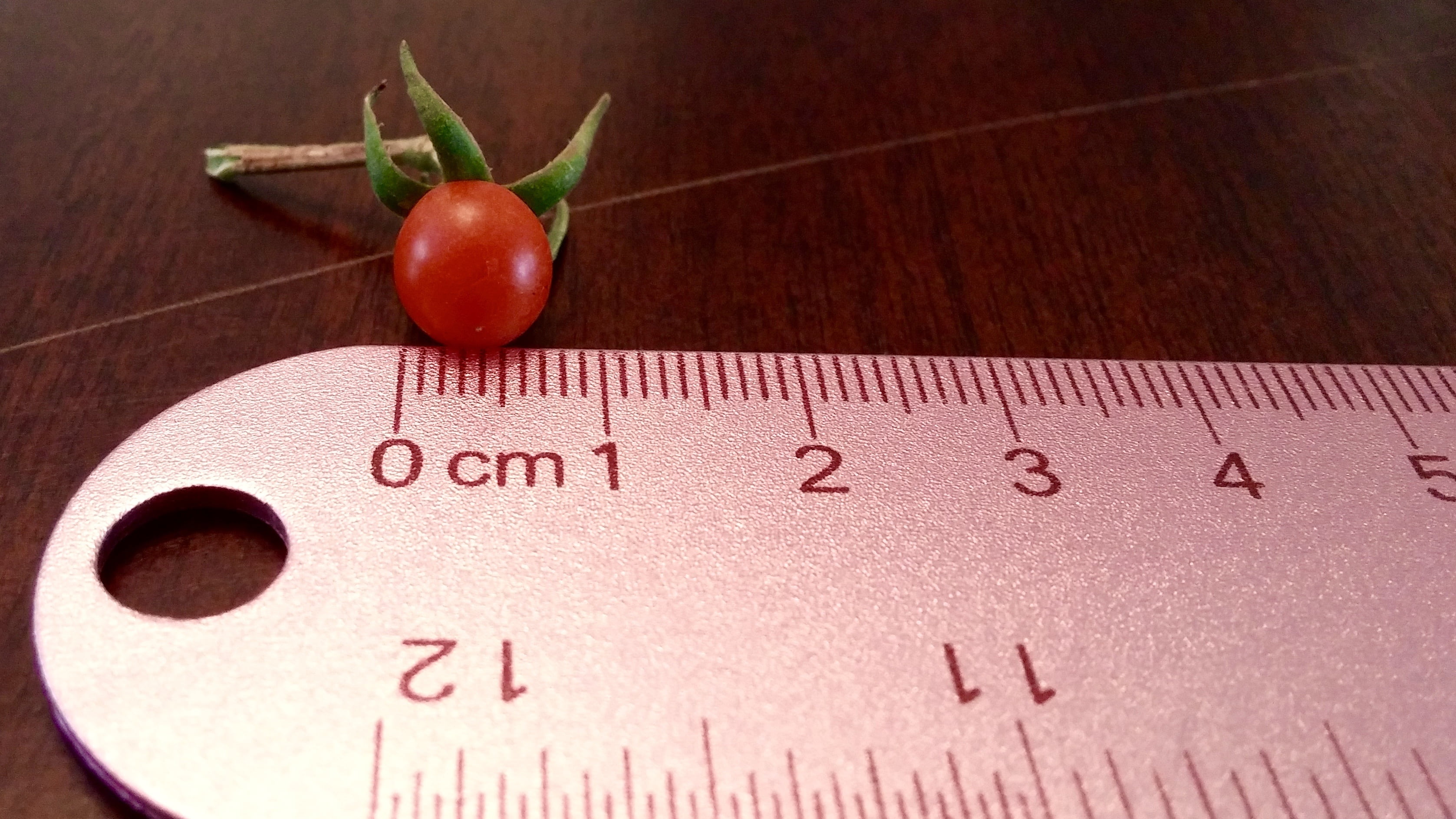 red, healthy eating, tomato, millimeters, indoors, fruit, garden, small, inches, wellbeing, dieting, table, nature, instrument of measurement, number, vegetable, HD Wallpaper