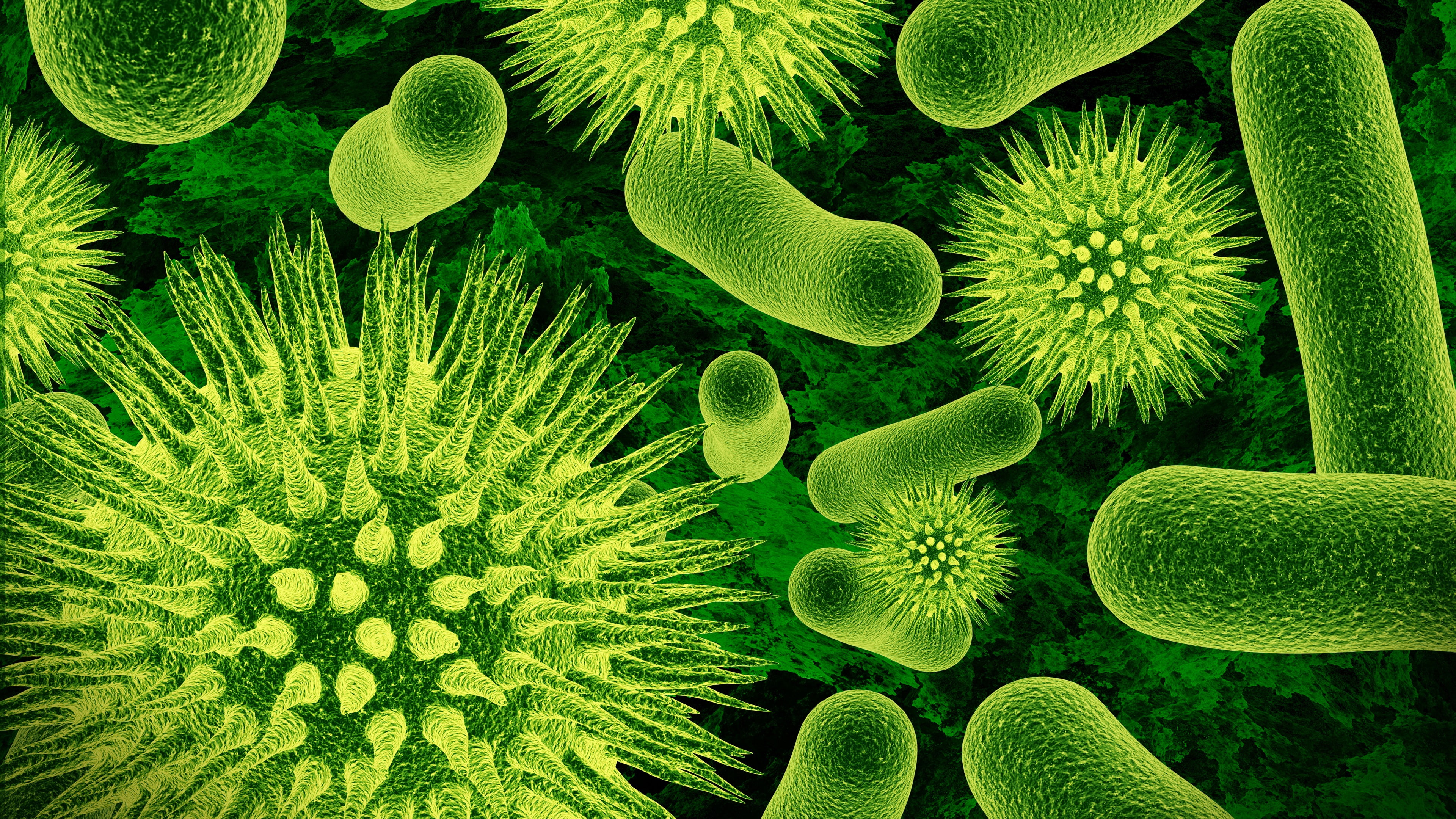 Green, 4K, close, Viruses, Bacteria, HD Wallpaper