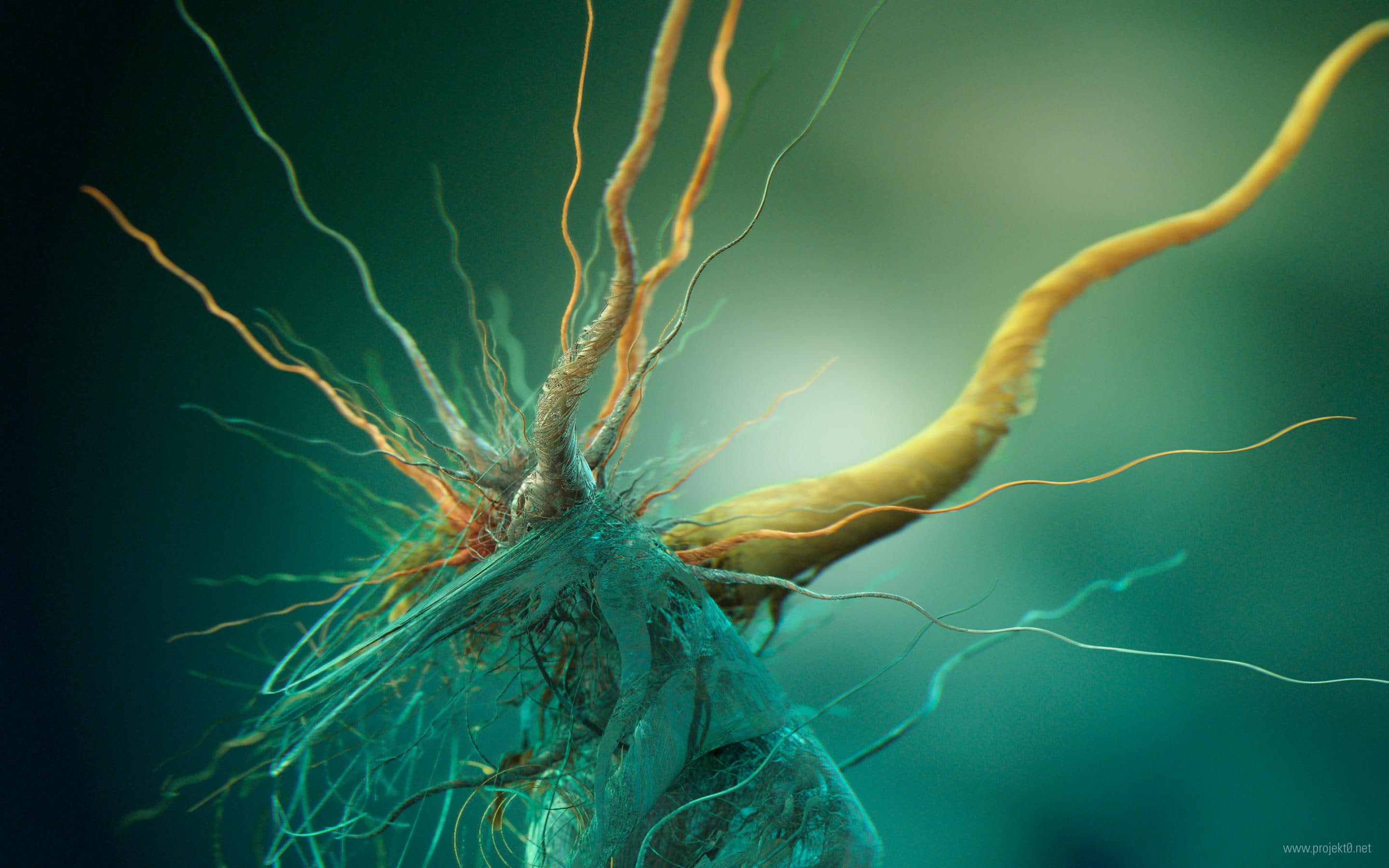 2K, bacteria, creative and graphics, HD Wallpaper