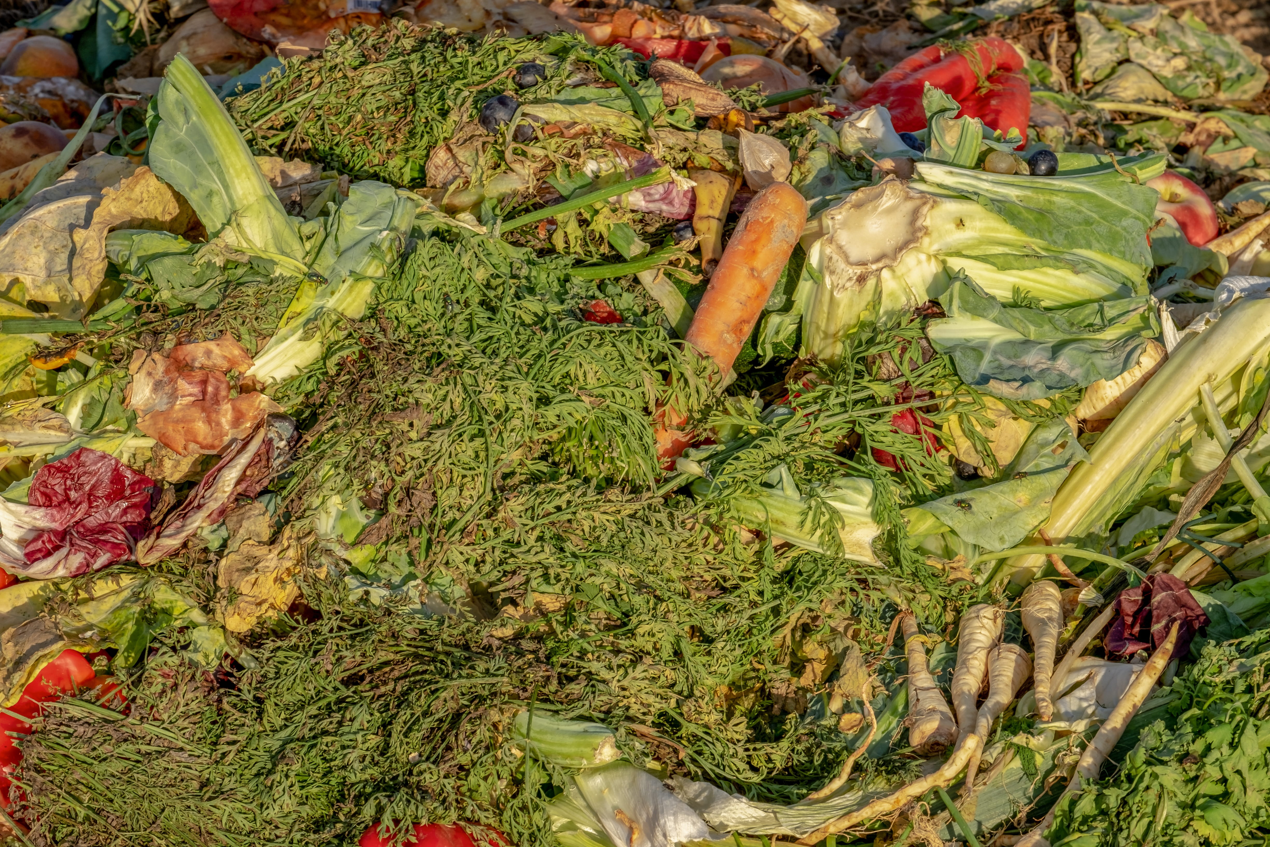 vegetables, high angle view, food and drink, outdoors, food, wellbeing, organic, ecology, biological, recipes with leftovers, fruit, healthy eating, plant part, HD Wallpaper