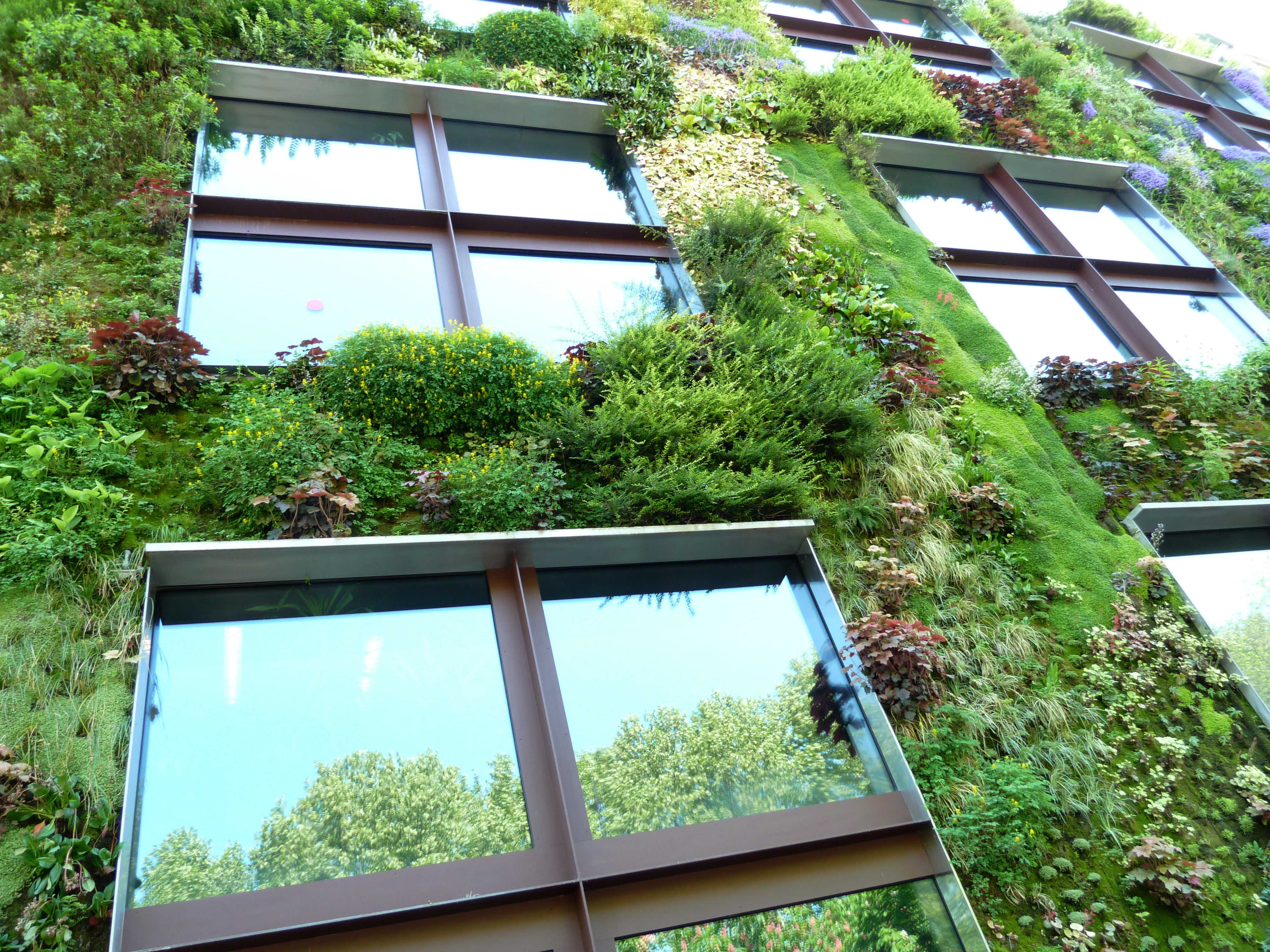 nature, day, brown, no people, outdoors, botany, green color, glass - material, window frame, reflection, house, eco, botanical, environmental protection, HD Wallpaper