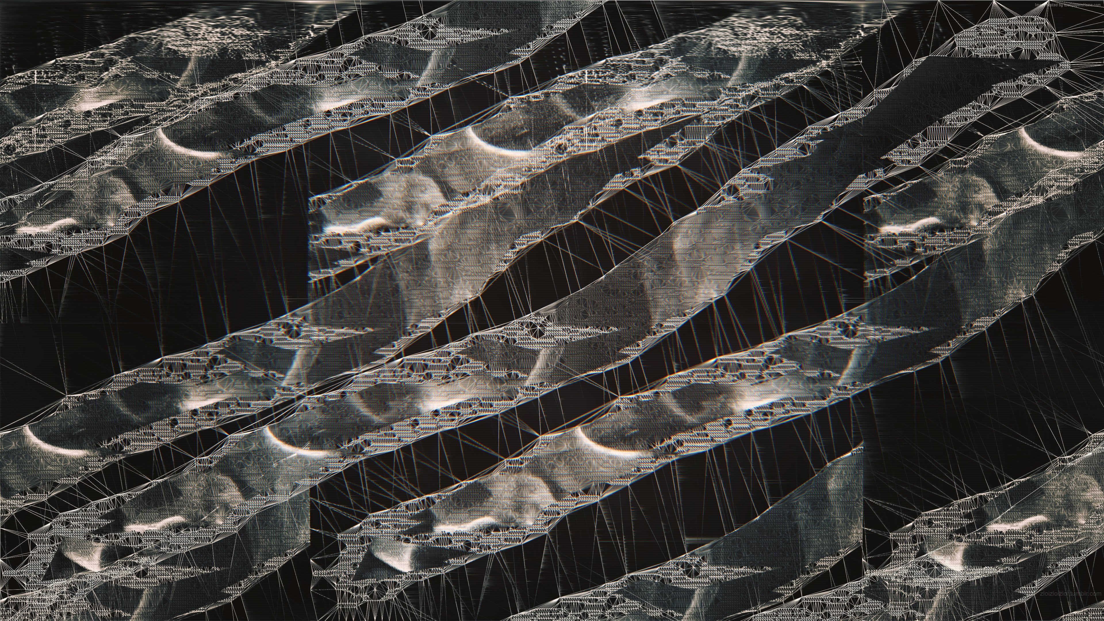 abstract, microbes, 4k, 4K, HD Wallpaper