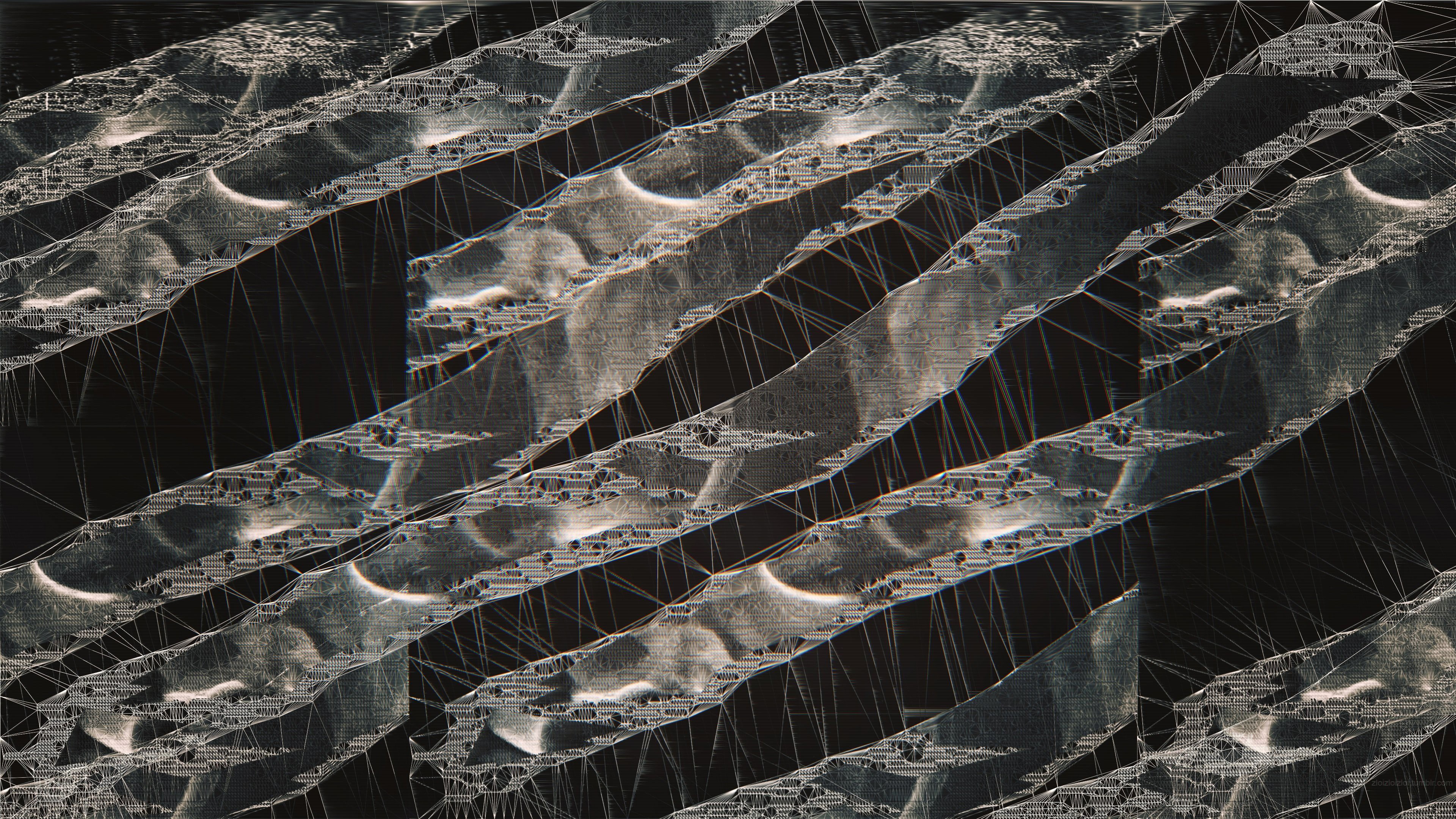 abstract, 4K, 4k, microbes, HD Wallpaper