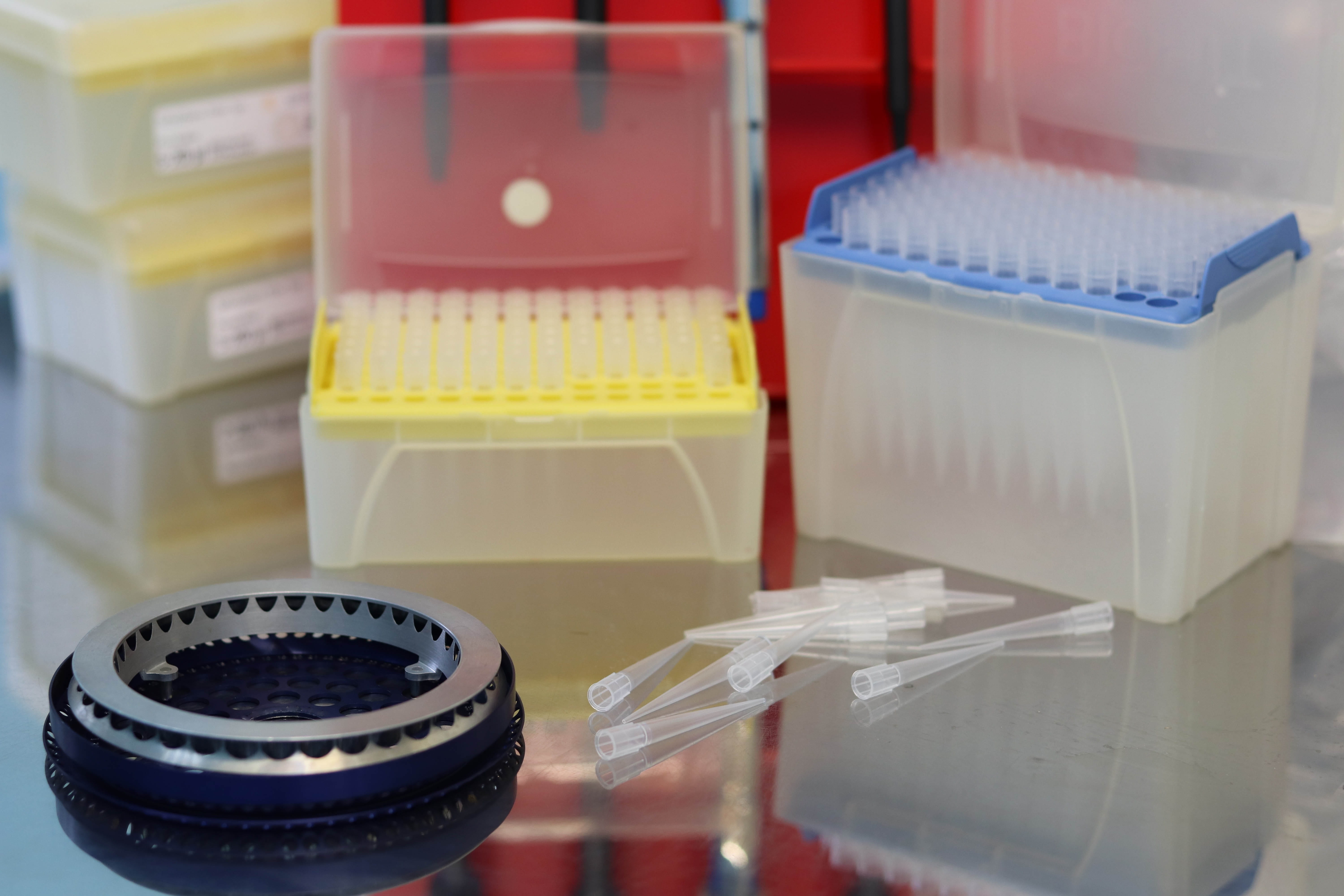 still life, table, glass - material, technician, indoors, medical, hand, woman, tube, healthcare and medicine, hygiene, working, blood samples, test tube rack, HD Wallpaper