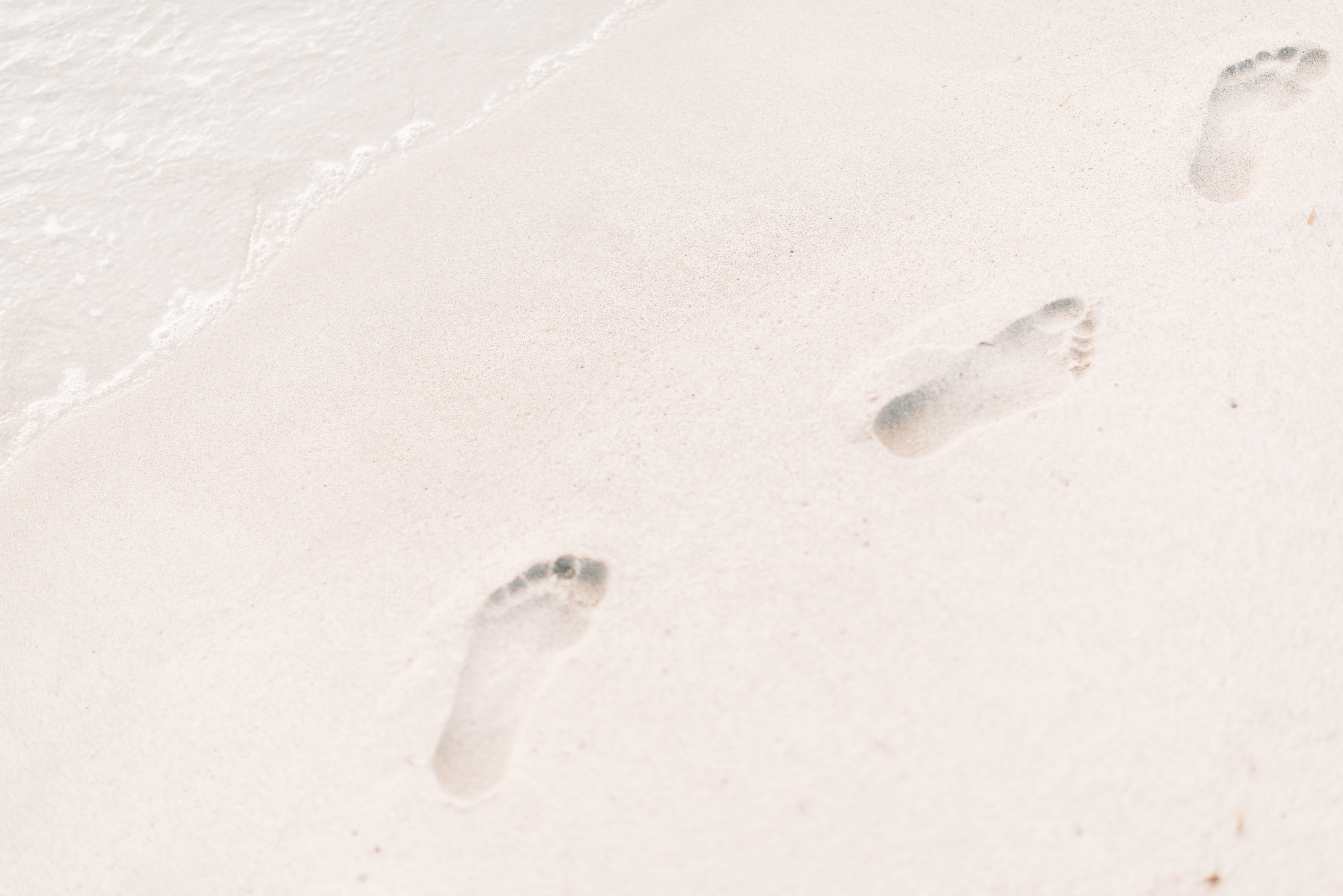 paw print, white color, close-up, absence, beach, printed, left, steps, footprint, land, indoors, photo, sea waves, no people, day, waves, walking, backgrounds, HD Wallpaper