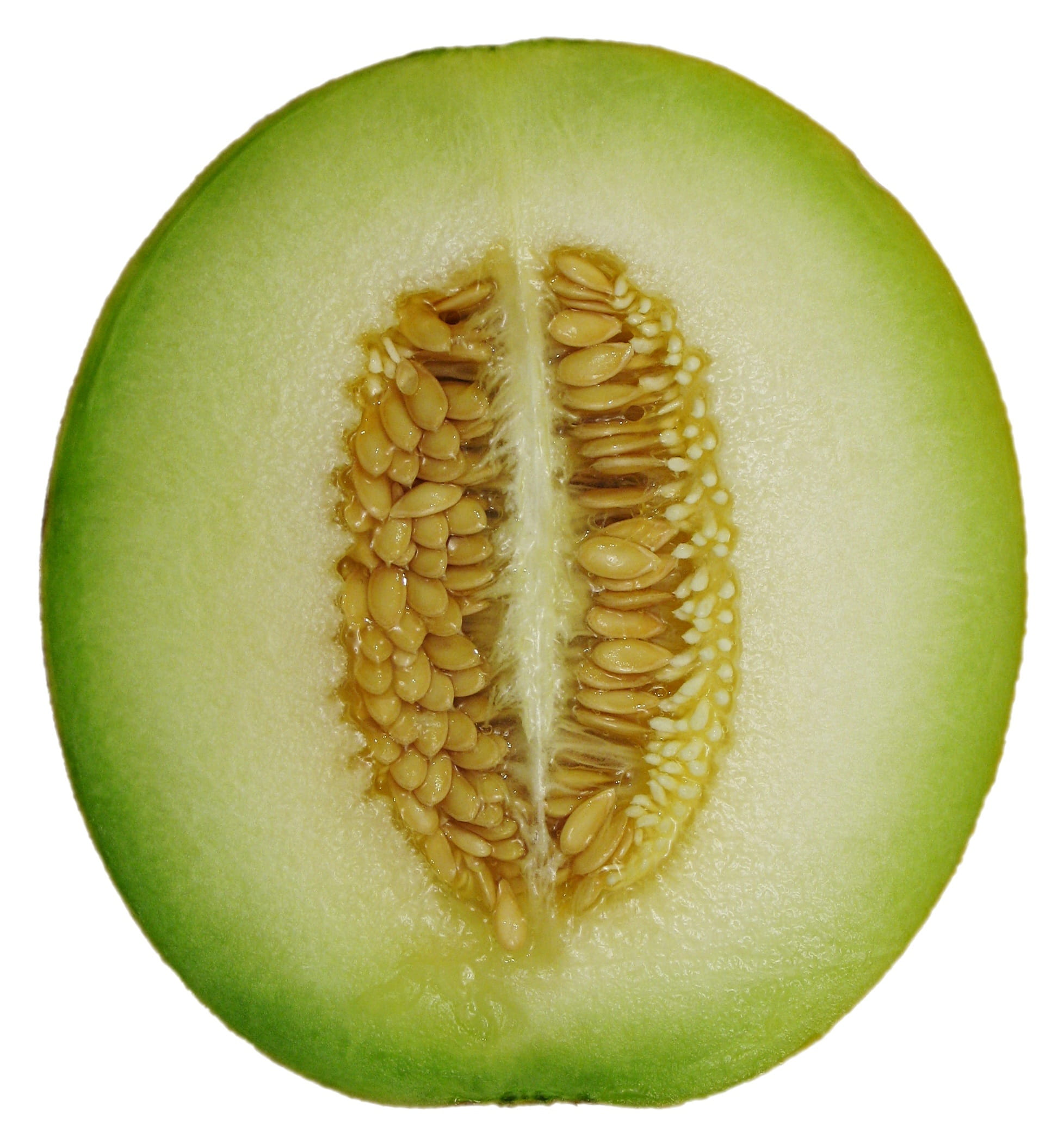 food, indoors, cut out, rind, cross, green Color, studio shot, fruits And Vegetables, 1080P, Cross Section, cut, raw Food, wellbeing, melon cross section, Phone HD Wallpaper