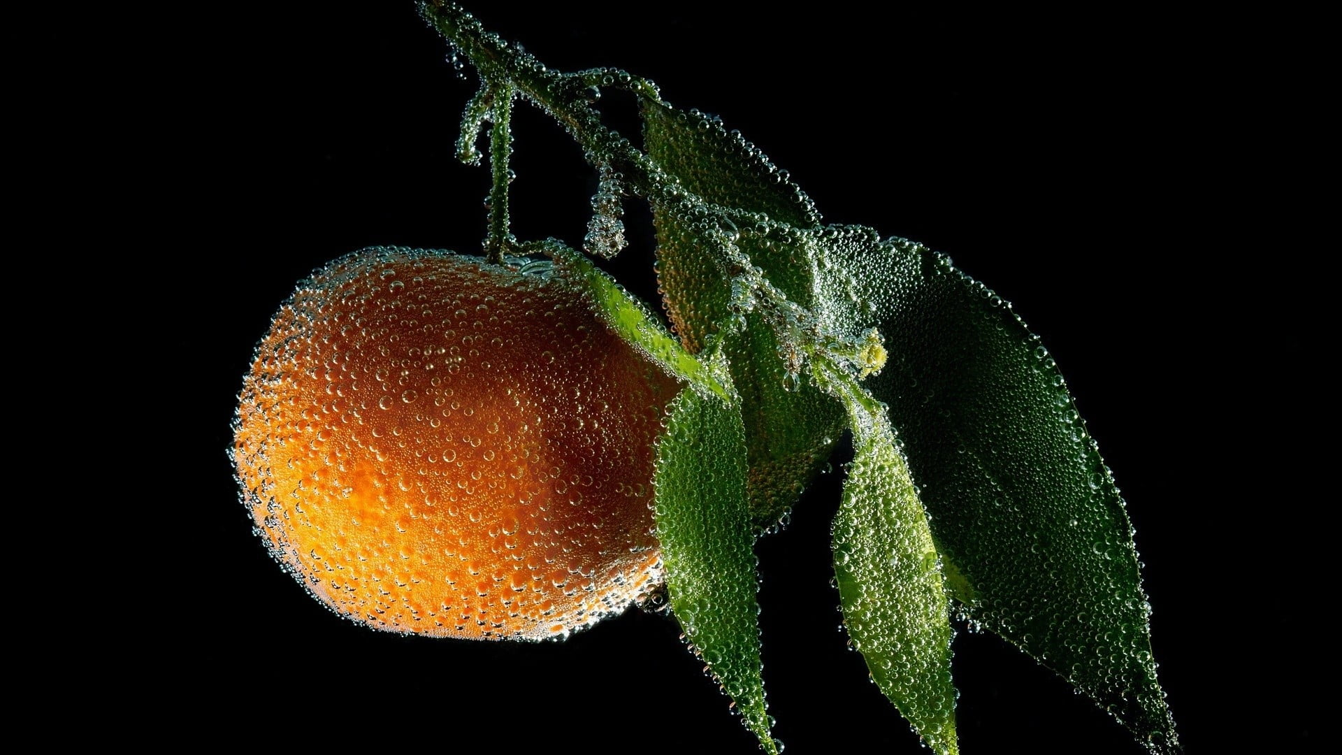 drop, orange, 1080P, water drops, black background, round, freshness, no people, green color, single object, indoors, orange color, fruit, close-up, wellbeing, HD Wallpaper