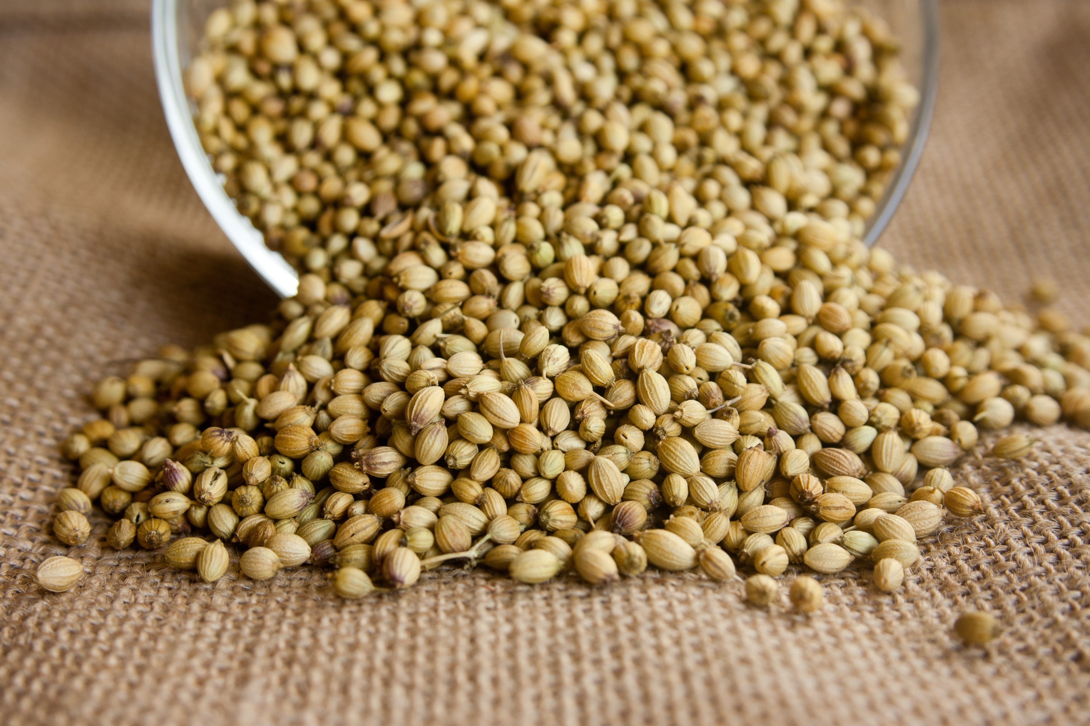 bowl, fresh, high angle view, herb, spices, aromatic, selective focus, 2K, cereal plant, close-up, indian, sack, peanuts, brown, seeds, healthy eating, HD Wallpaper