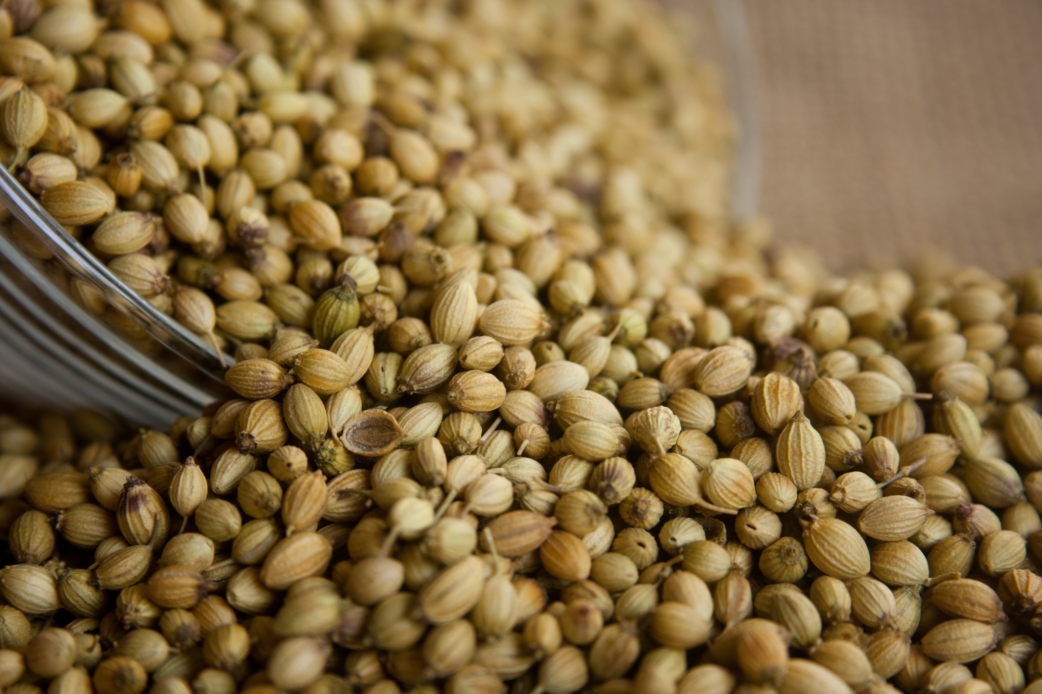 2K, indoors, close-up, still life, spicy, ingredient, seasoning, seed, wellbeing, freshness, coriander, abundance, nut, nut - food, brown, raw food, no people, HD Wallpaper