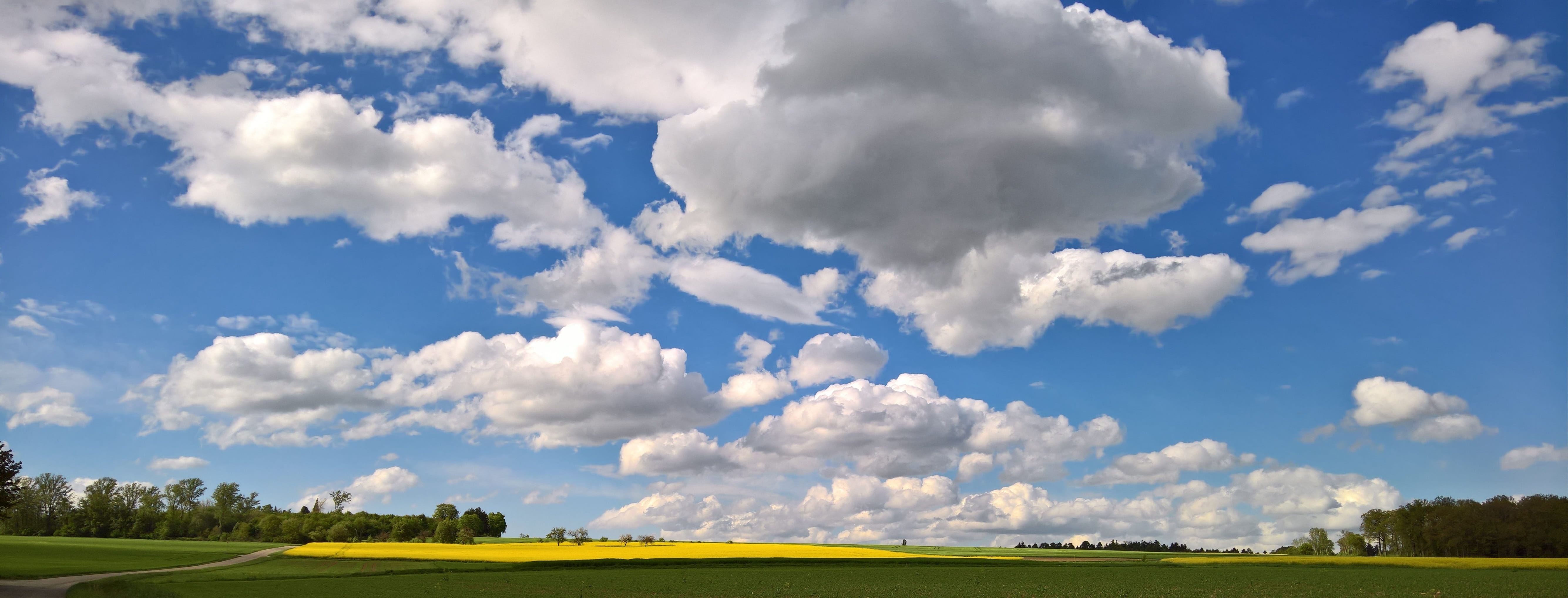 spring, cloud - sky, field, clouds, sky, landscape, clouded sky, blue, day, beauty in nature, agriculture, rural scene, environment, land, grass, 5K, mood, HD Wallpaper