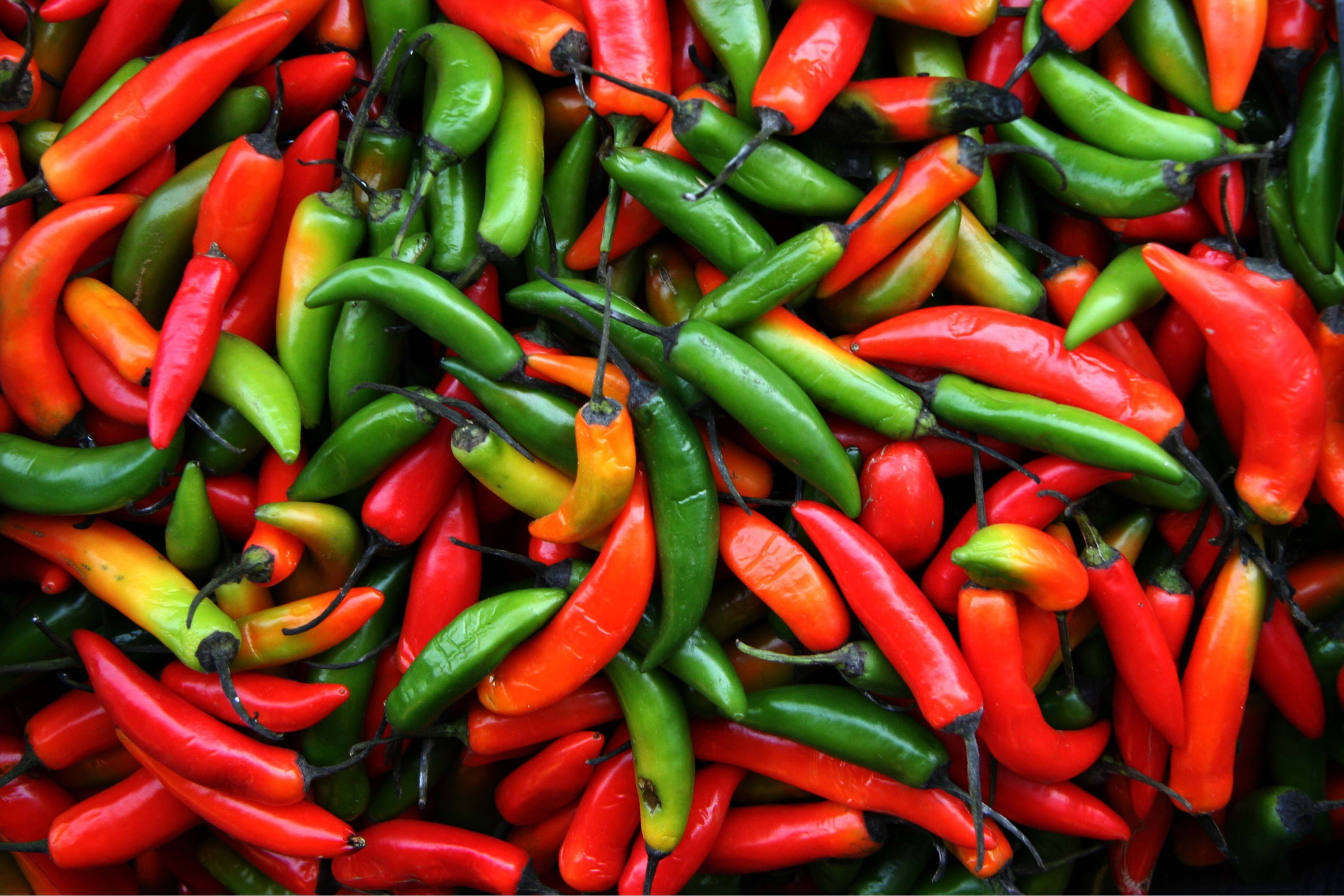 multi Colored, seasoning, spice, bell Pepper, green Color, pepper - Vegetable, pepper - Seasoning, organic, food, heat - Temperature, abundance, vegetarian Food, HD Wallpaper