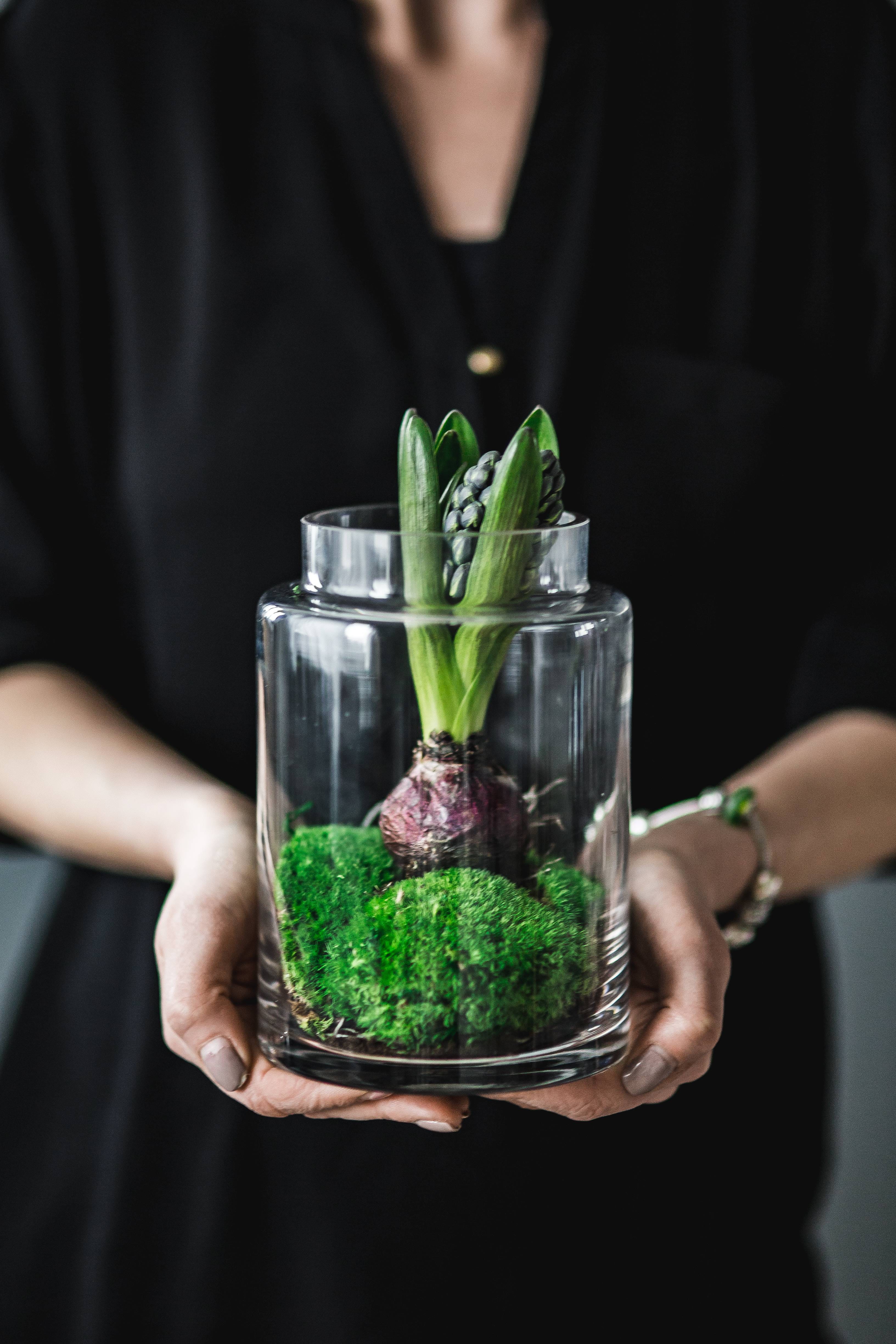 one person, adult, front view, vegetable, dirt, human Hand, potted plants, holding, men, Close-ups, cocktail, close, lifestyles, Hyacinths, adults only, Phone HD Wallpaper