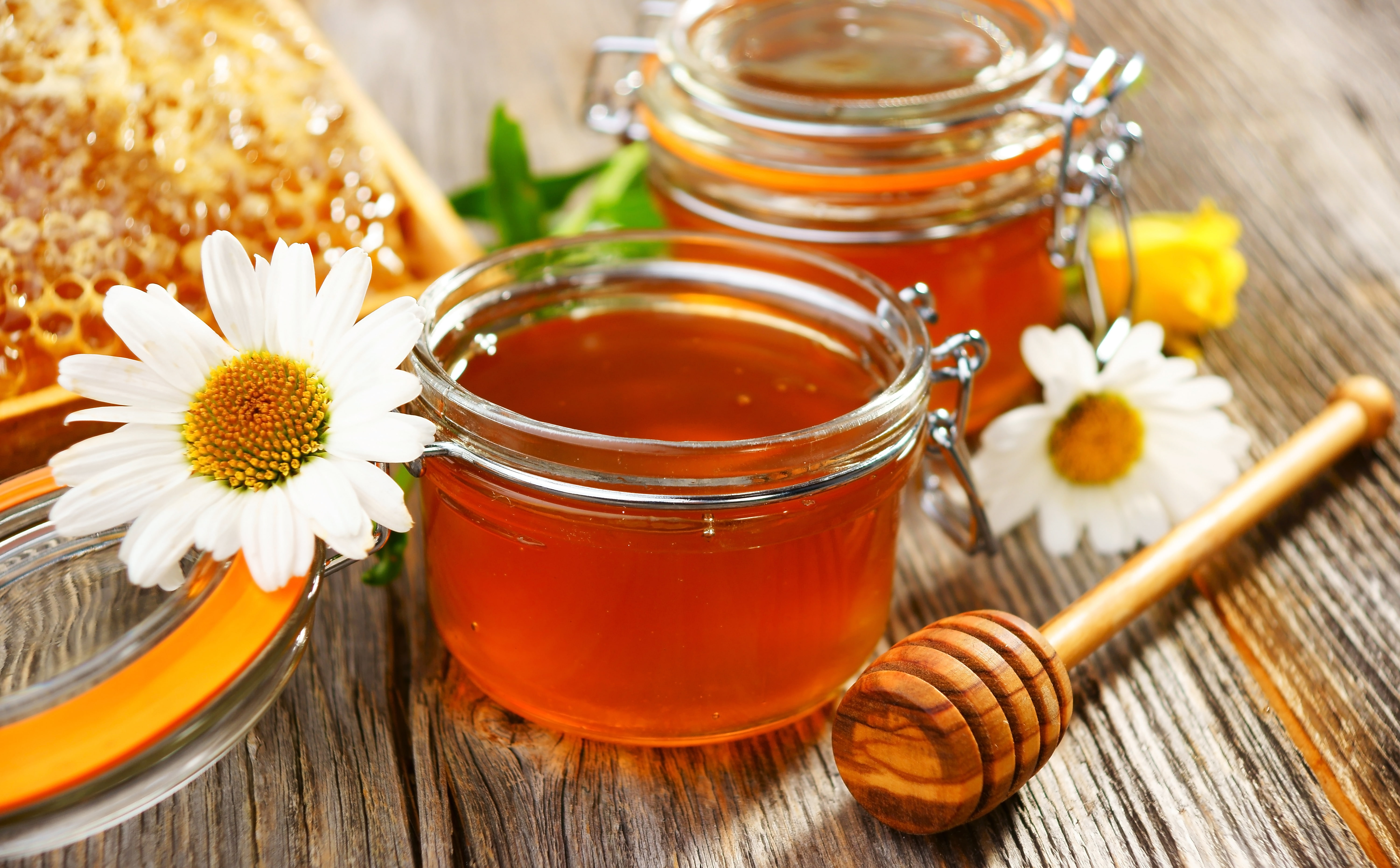 two, spoon, flowers, chamomile, glass, 5K, clear, hermetic, honey, jars, HD Wallpaper