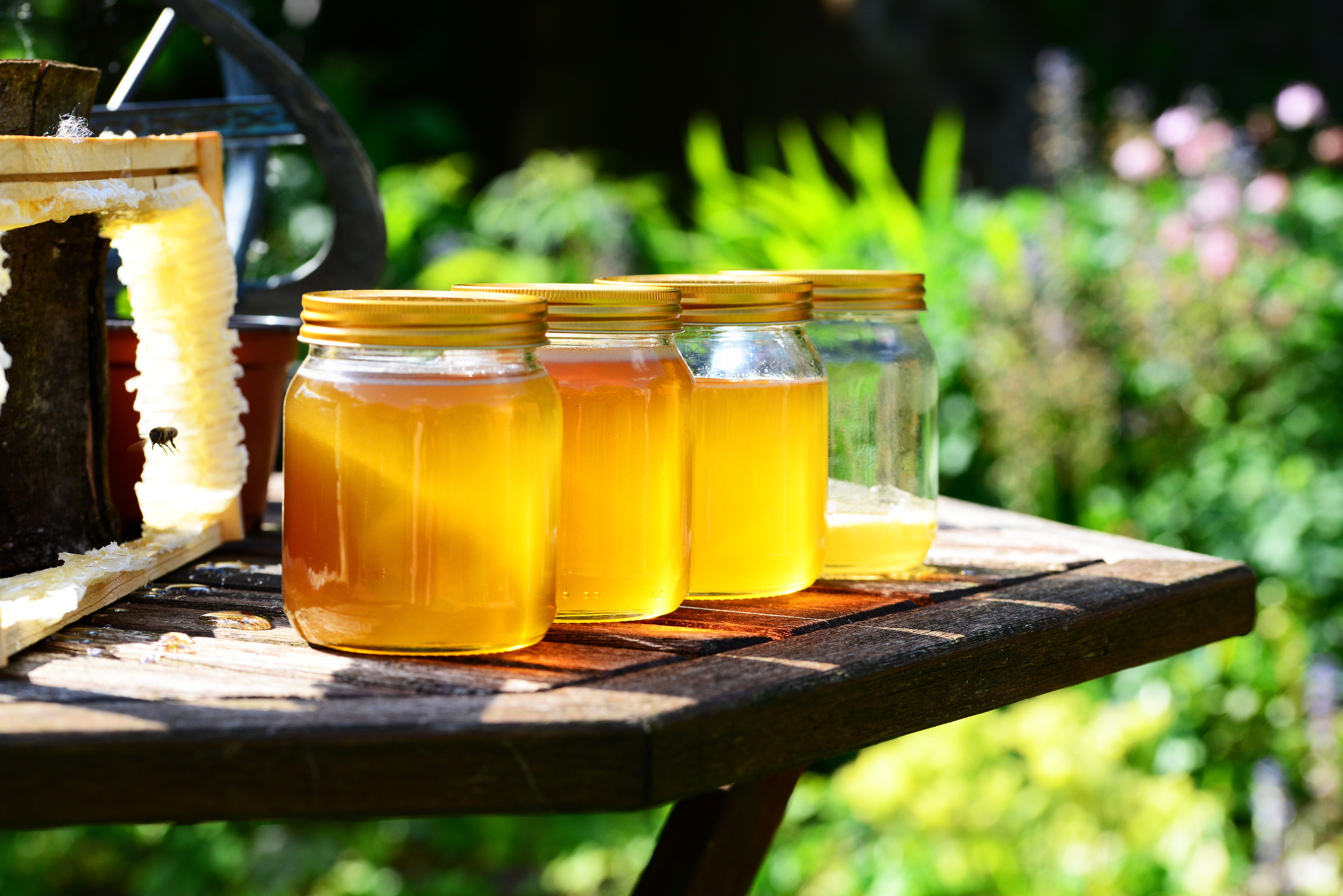 jar, pressing, food, clear, fruit, focus on foreground, golden, front or back yard, tray, 5K, table, airtight, freshness, no people, close-up, drinking glass, HD Wallpaper