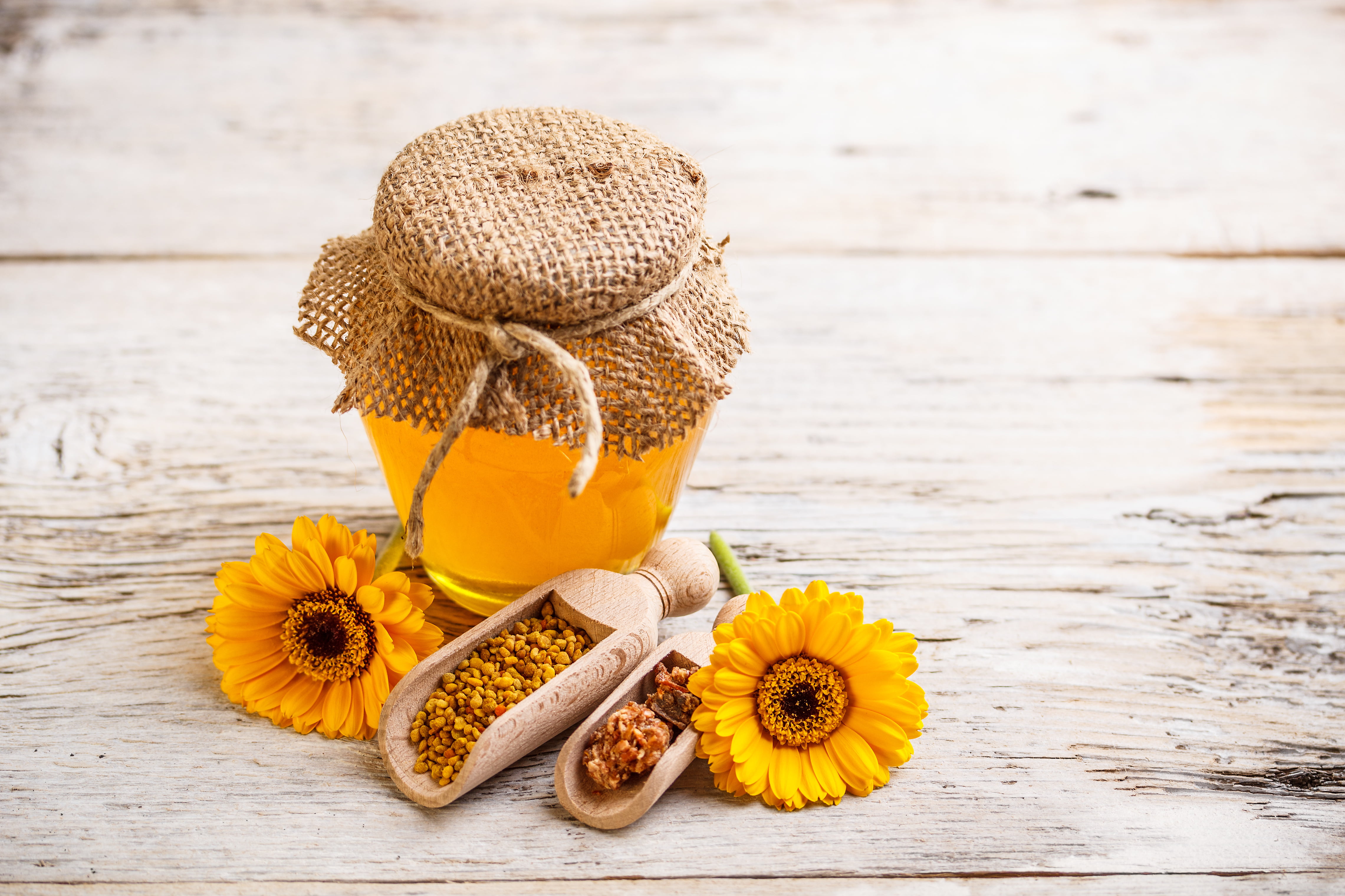 healthy eating, container, petaled, yellow, wellbeing, no people, table, two, flowers, jar, flowering plant, freshness, plant, still life, day, beauty in nature, HD Wallpaper