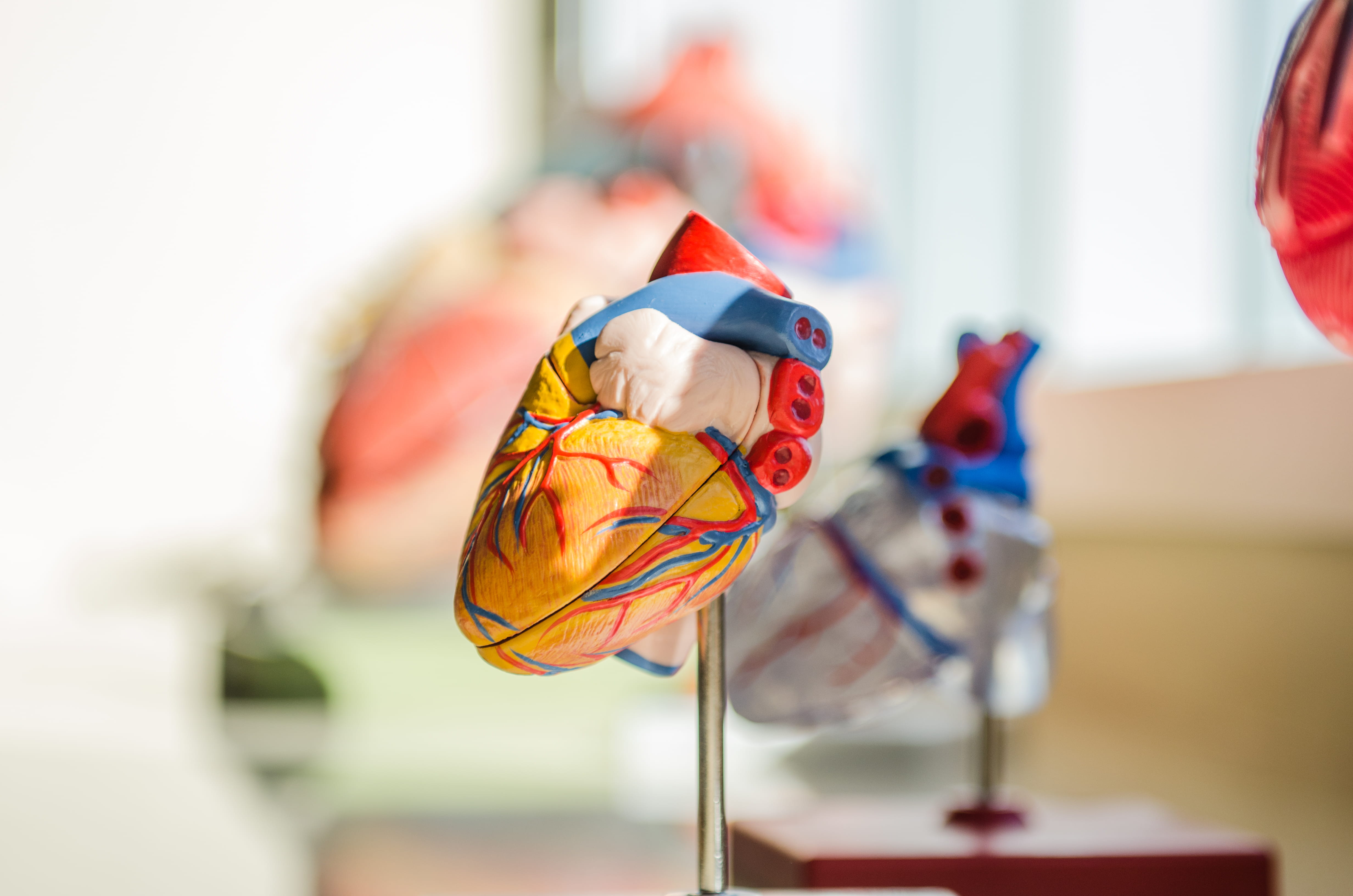 rod, toy, medical, multi colored, table, celebration, organ, representation, 4K, animal representation, heart, metal, selective focus, pinwheel toy, art and craft, HD Wallpaper