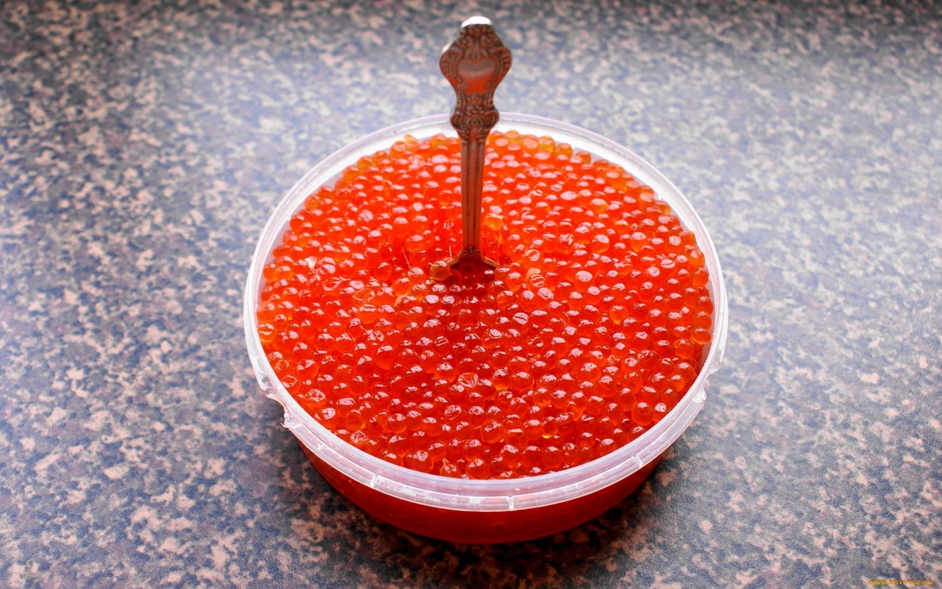metal, ripe, focus on foreground, plates, plastic, spoons, water, circle, sweet Food, gourmet, container, nature, fruit, clear, high angle view, close-up, HD Wallpaper