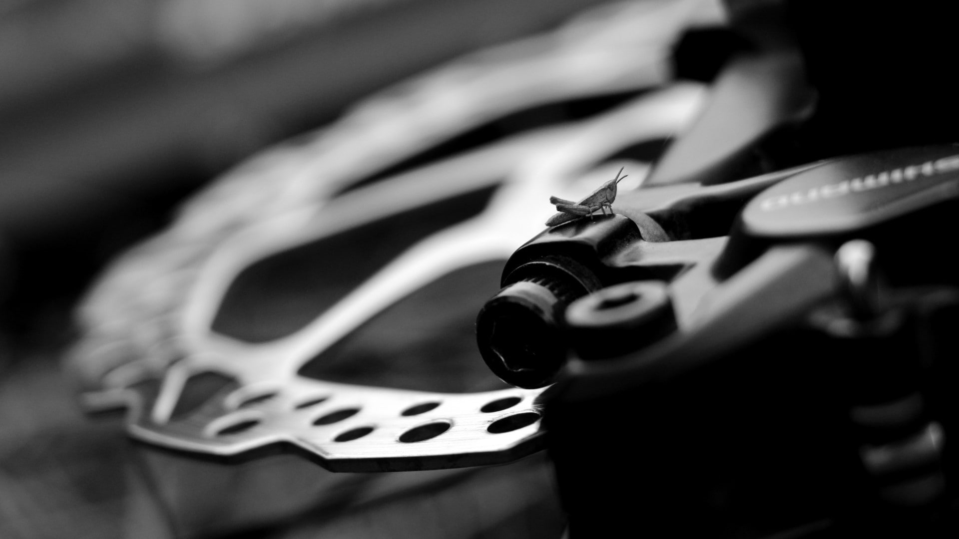 Shimano, number, close-up, large group of objects, music, arts culture and entertainment, indoors, single object, focus on foreground, grasshopper, no people, HD Wallpaper