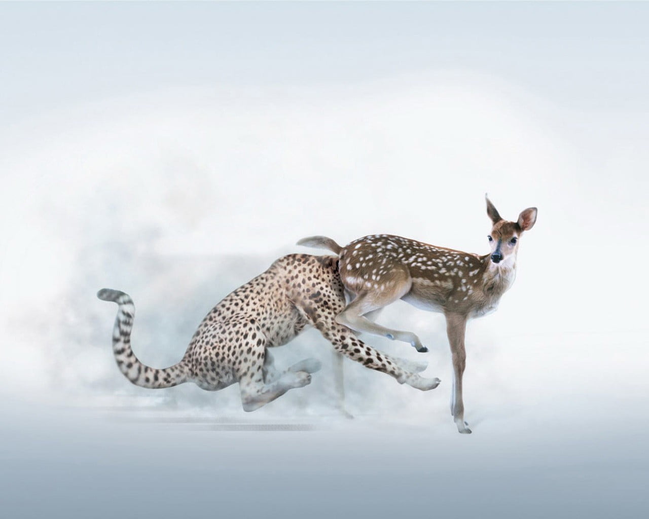 mammal, 720P, nature, one animal, feline, leopard, humor, side view, full length, copy space, cheetah, no people, animal wildlife, vertebrate, deer, spotted, HD Wallpaper