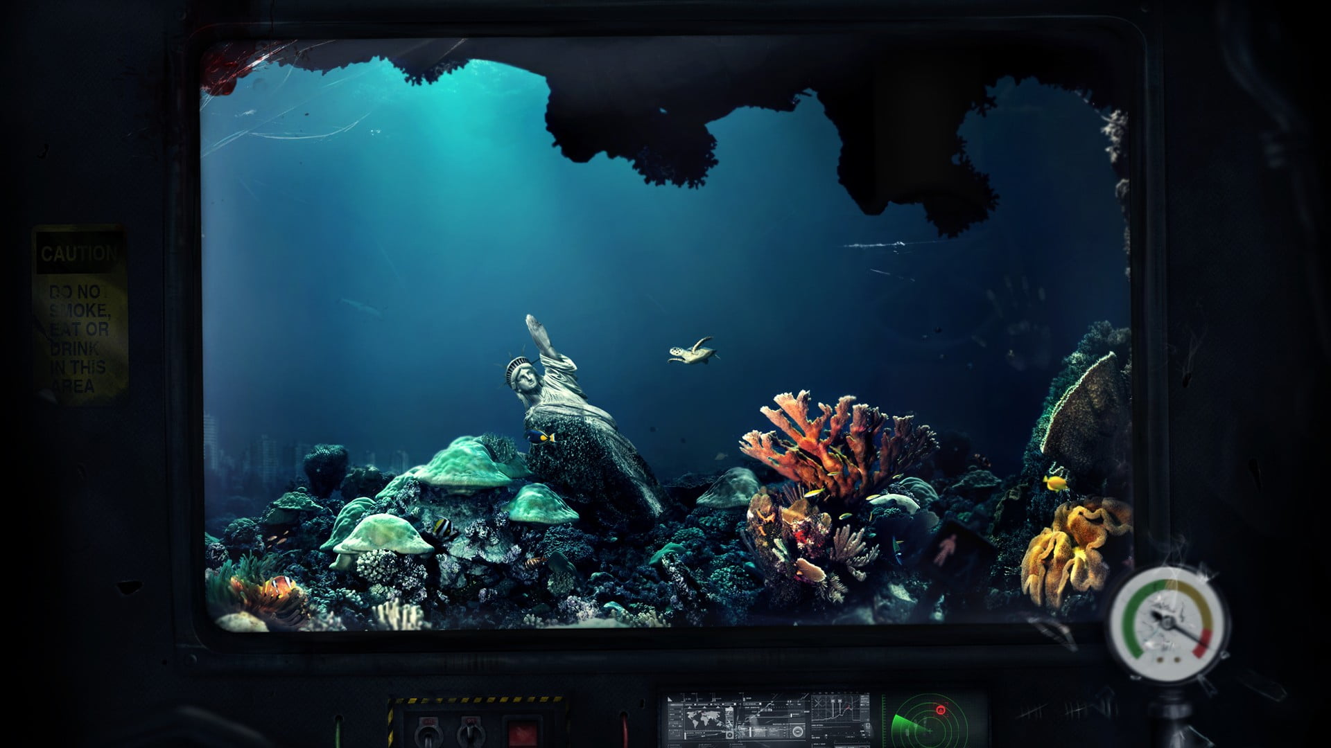 sea, animal wildlife, undersea, sea anemones, fish tank, aquarium, indoors, glass - material, animals in the wild, animal, photography, 1080P, vertebrate, HD Wallpaper