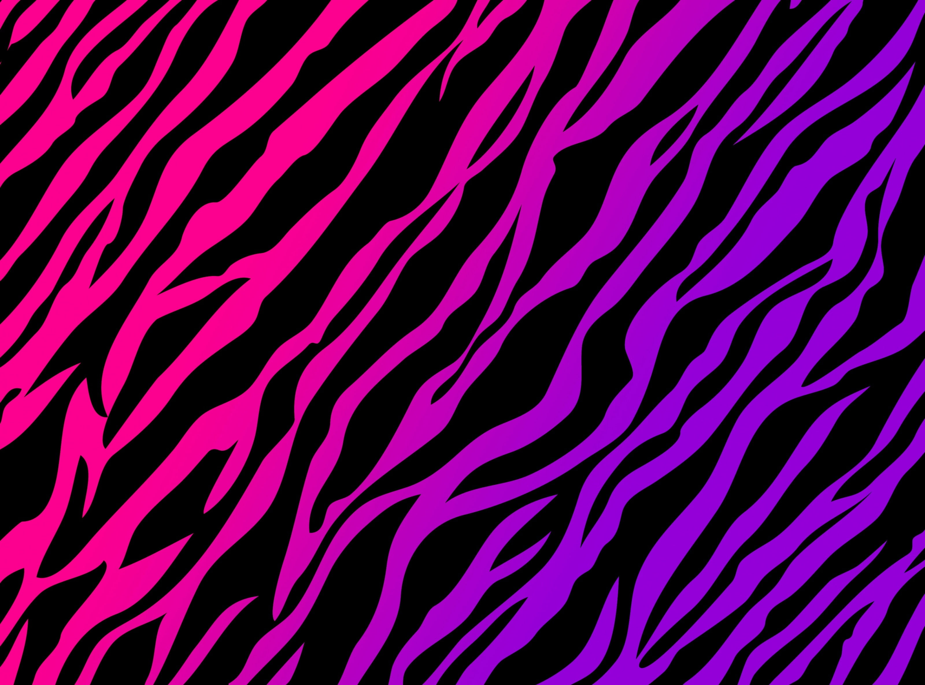 fuchsia, indoors, architecture, art and craft, healthcare and medicine, science, Patterns, no people, 2K, black color, Purple, abstract, hot, education, HD Wallpaper