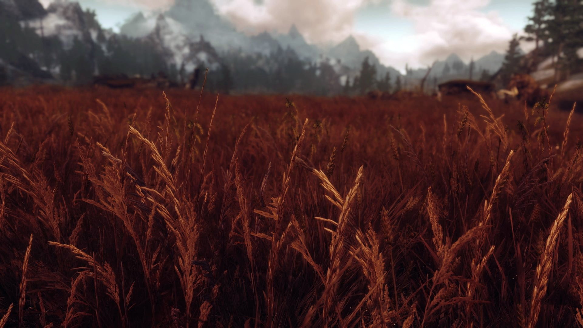 crop, stalk, plant, nature, 1080P, rural scene, The Elder Scrolls V: Skyrim, tranquility, land, growth, environment, no people, cereal plant, grass, tranquil scene, HD Wallpaper