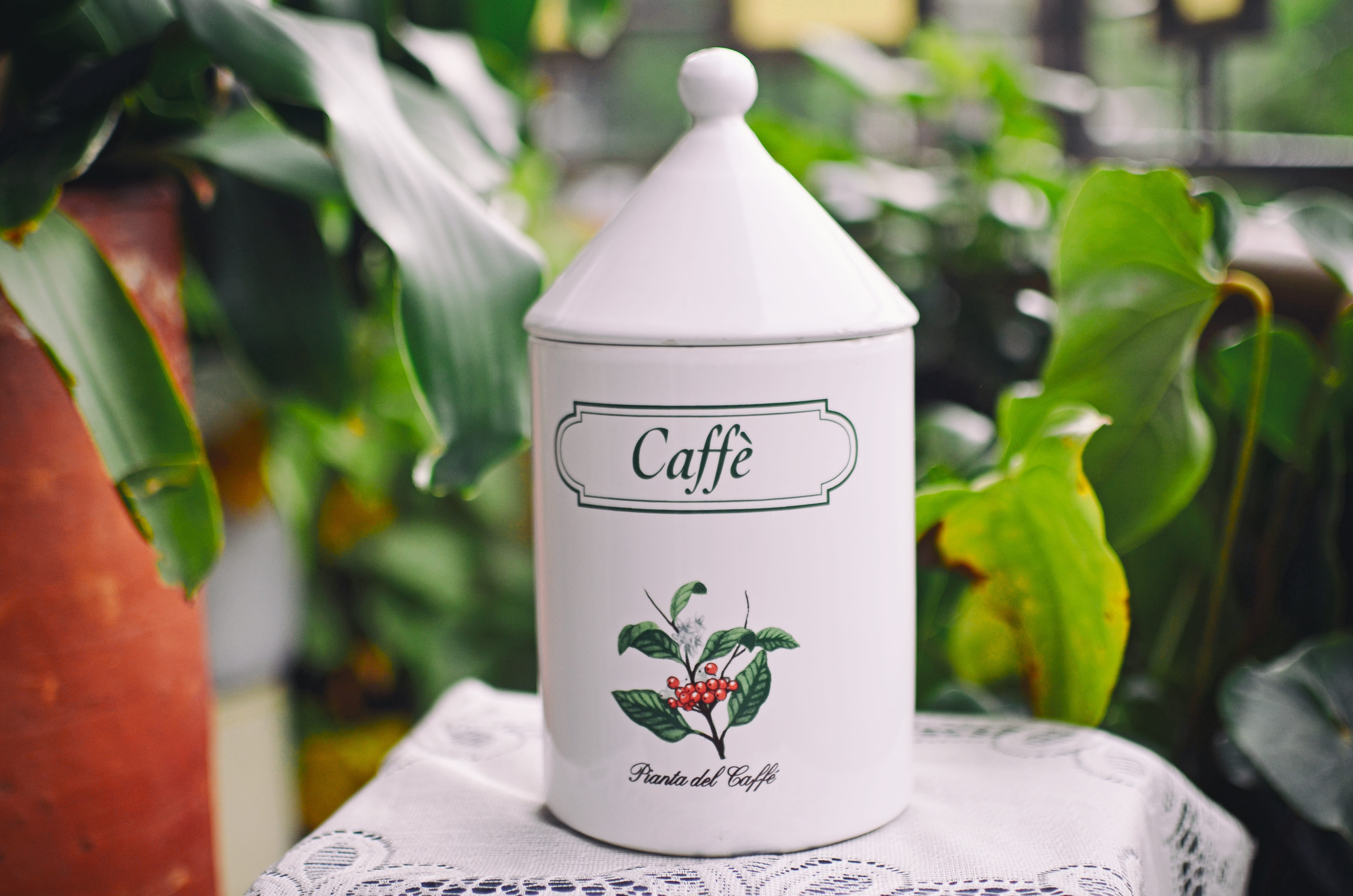 coffee, outdoors, business, restaurant, drink, breakfast, paper, plant, flower head, caffeine, hot, creativity, table, tea, growth, flavor, food and drink, HD Wallpaper