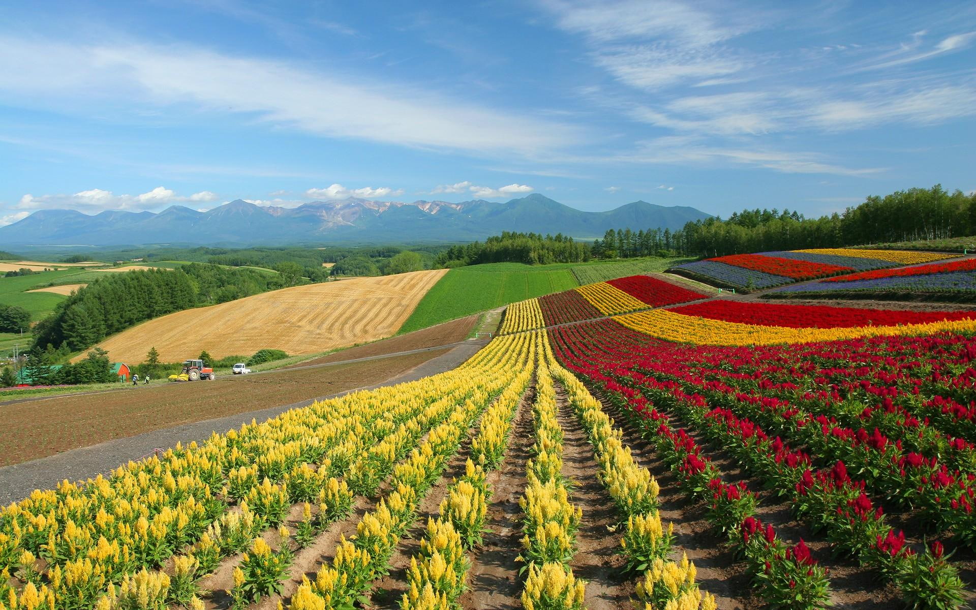 1080P, hokkaido, hq, 3d and abstract, lscape, landscape, HD Wallpaper