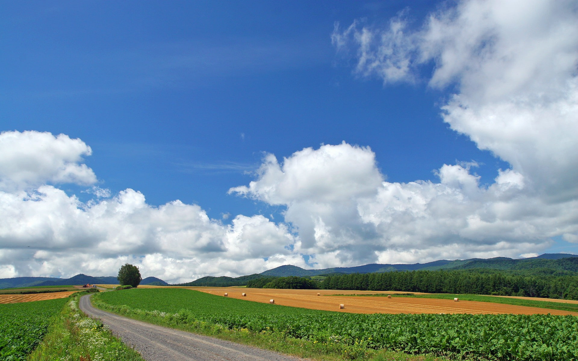 fields, hokkaido, HD, HQ, art, Landscape, nature, 1080P, HD Wallpaper