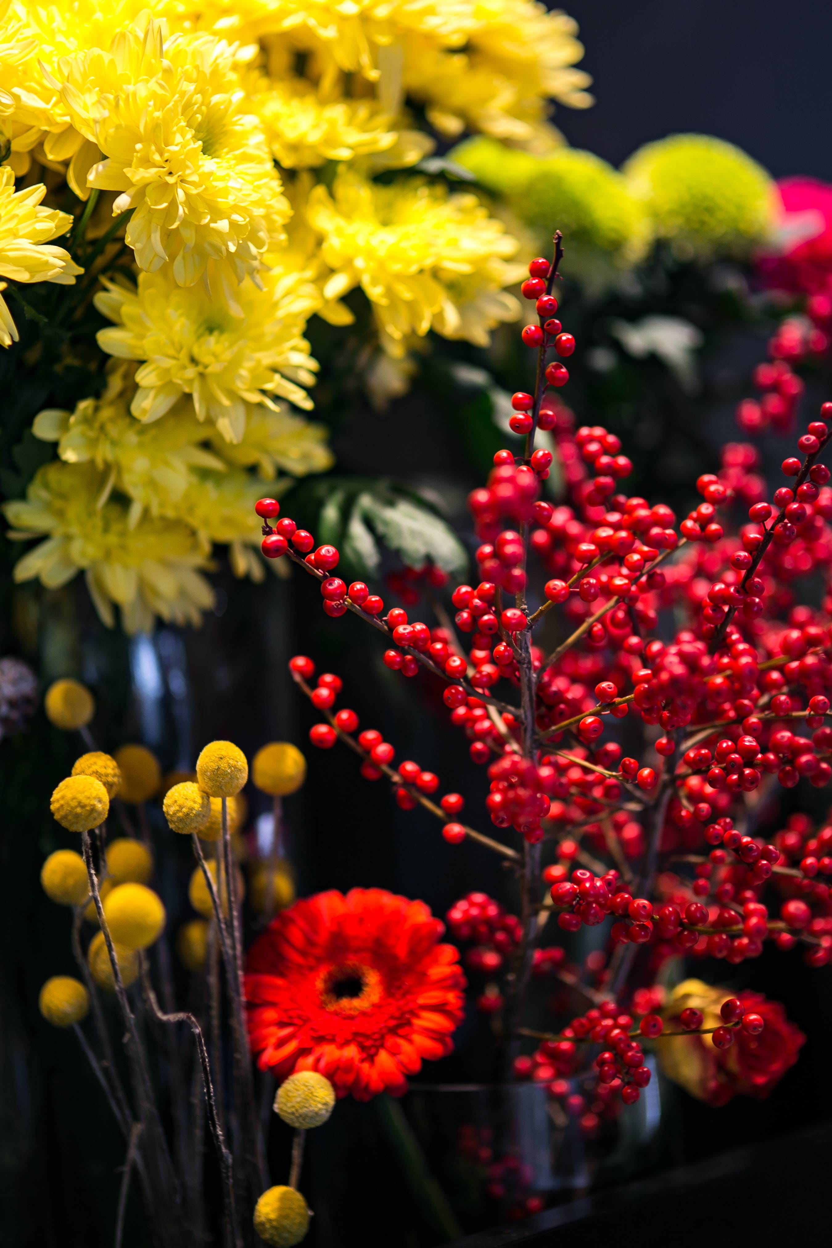 plant, flowerbed, close-up, colourful, vulnerability, nature, bouquet, selective focus, freshness, flowering plant, flora, composition, outdoors, no people, Phone HD Wallpaper
