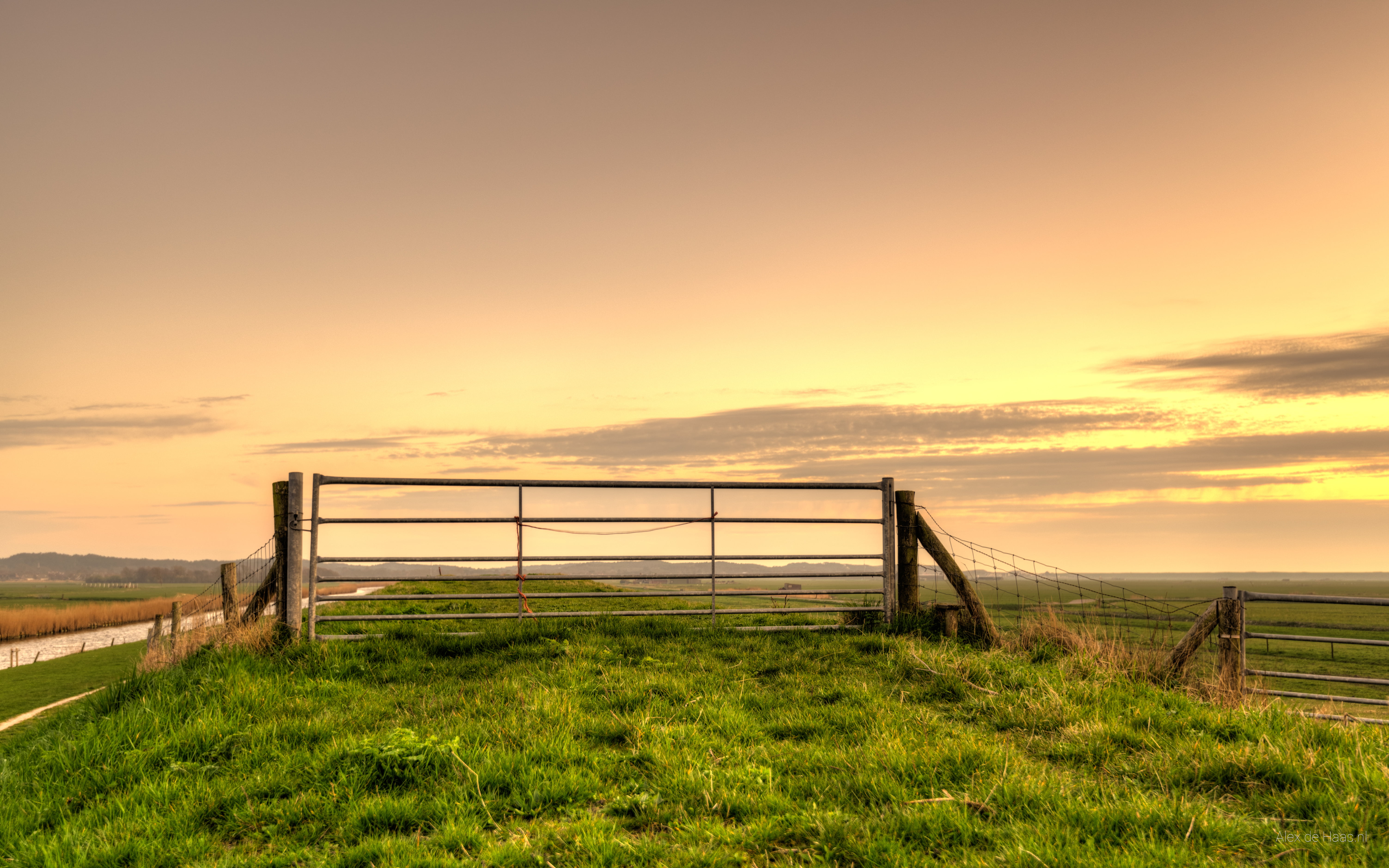 serene, Noord-Holland, golden hour, lucht, grass, golden, sky, outdoor, Nikkor, surrounded, sunset, sunny, green, photography, plant, Fence, nature, HDR, HD Wallpaper