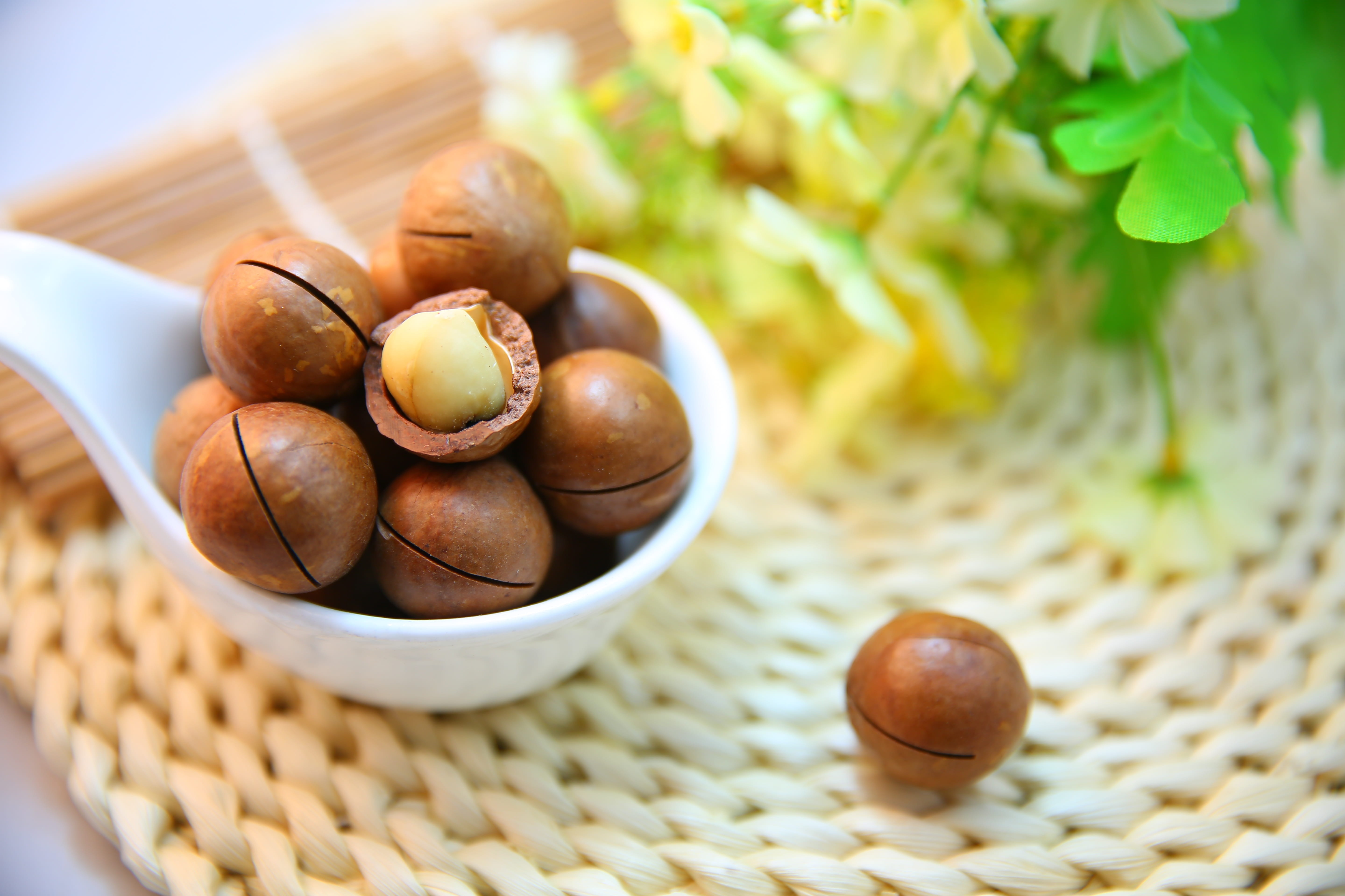 close-up, nature, no people, macadamia nuts, focus on foreground, wellbeing, easter egg, food, food and drink, nut, protein, bunch, macadamia, seeds, selective focus, HD Wallpaper