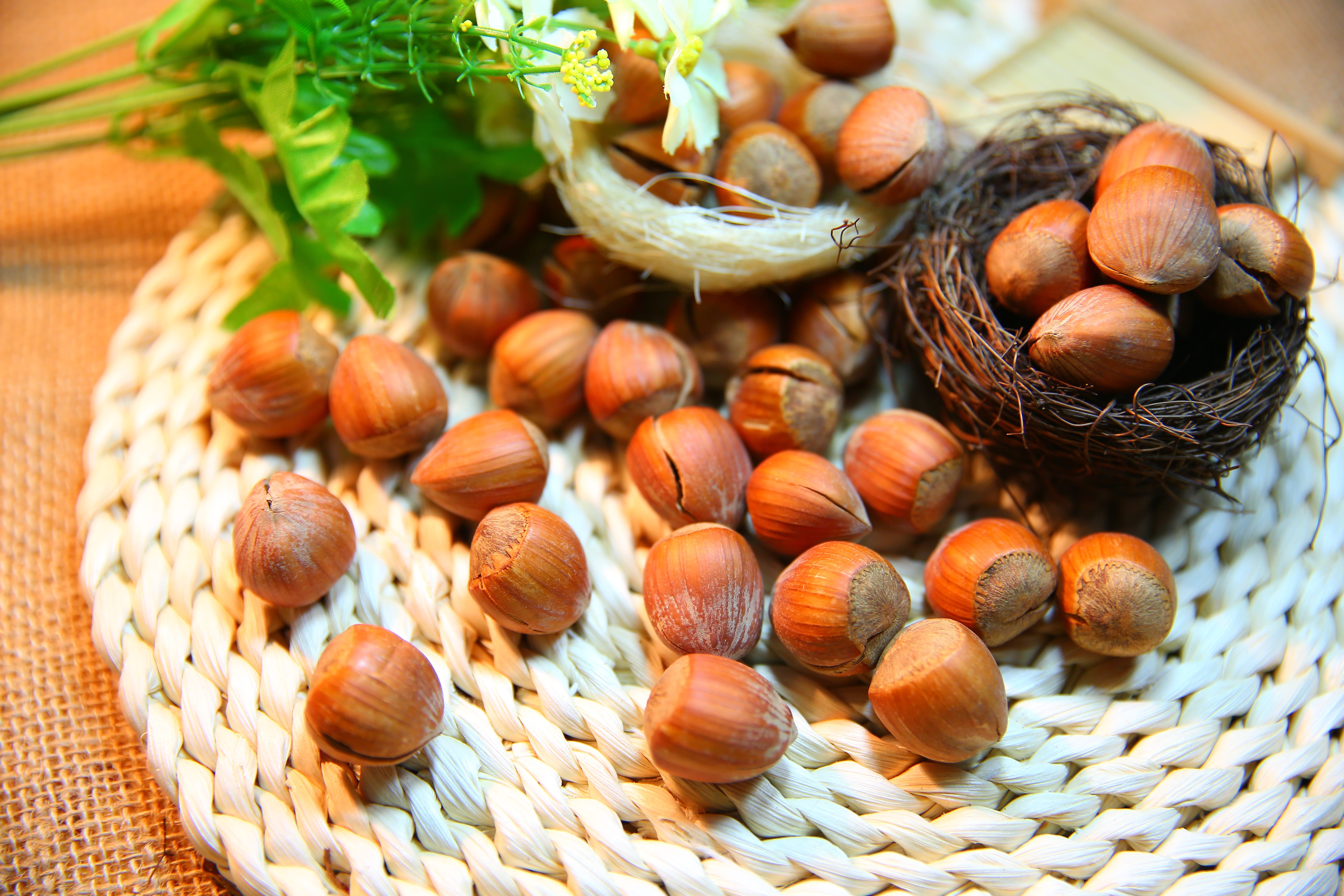 brown, indoors, protein, chestnut - food, nature, nut - food, snack, abundance, freshness, hazel, nuts, container, no people, hazelnut, fruit, focus on foreground, HD Wallpaper