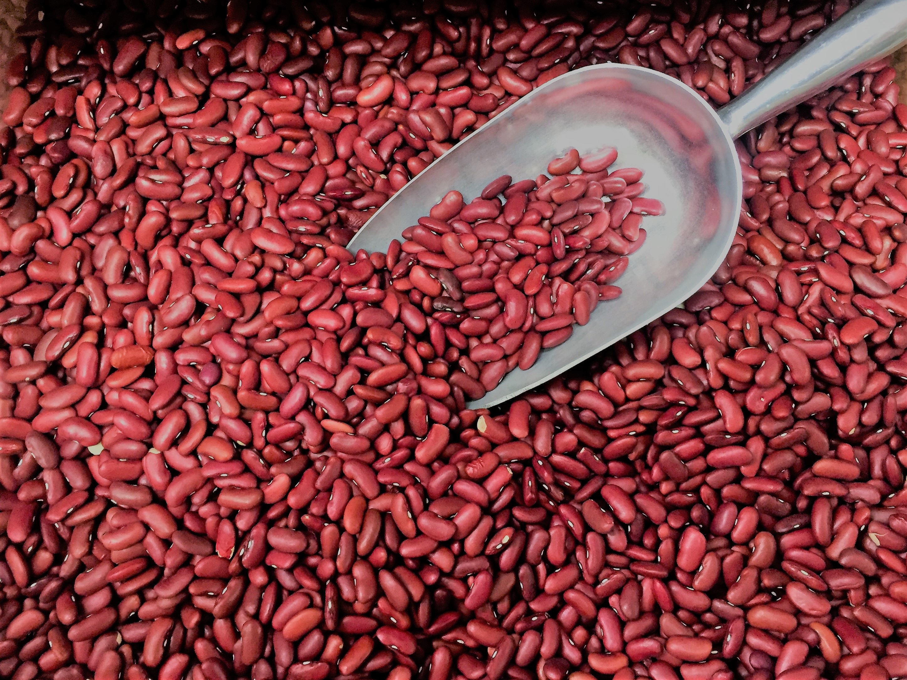 food, beans, wellbeing, 2K, food and drink, kitchen utensil, abundance, healthy eating, protein, vegetarian, indoors, close-up, kidney, for sale, retail, HD Wallpaper